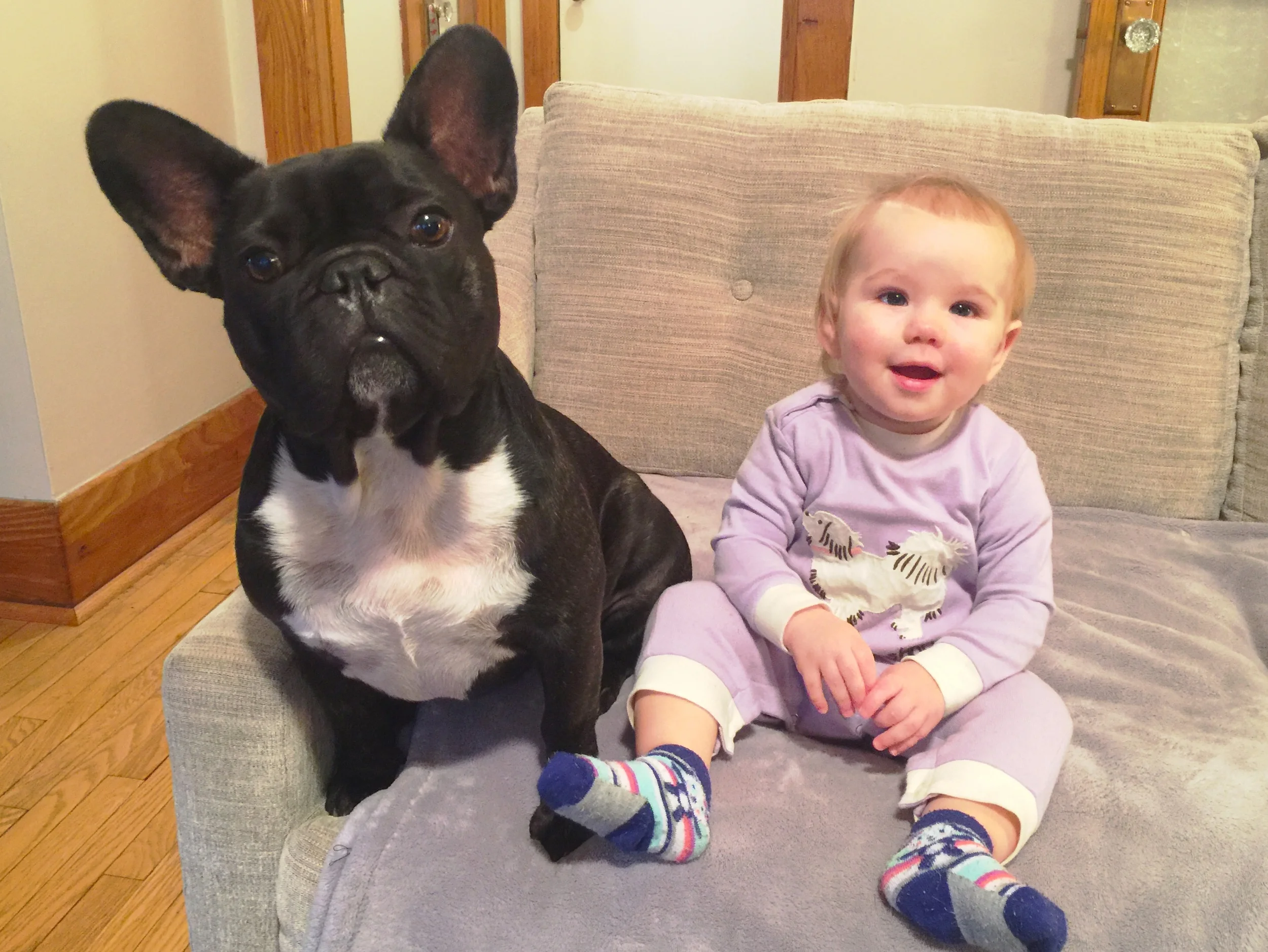 Did you know!!?? Me plus Baby Brooklyn are mostly the same size!! Yup!! 'Specially in the brainmelon areas!! Truestory!! 'Cept for her teensy little earparts!! I don't even know how you hear anythings out of those teensy things!! ................