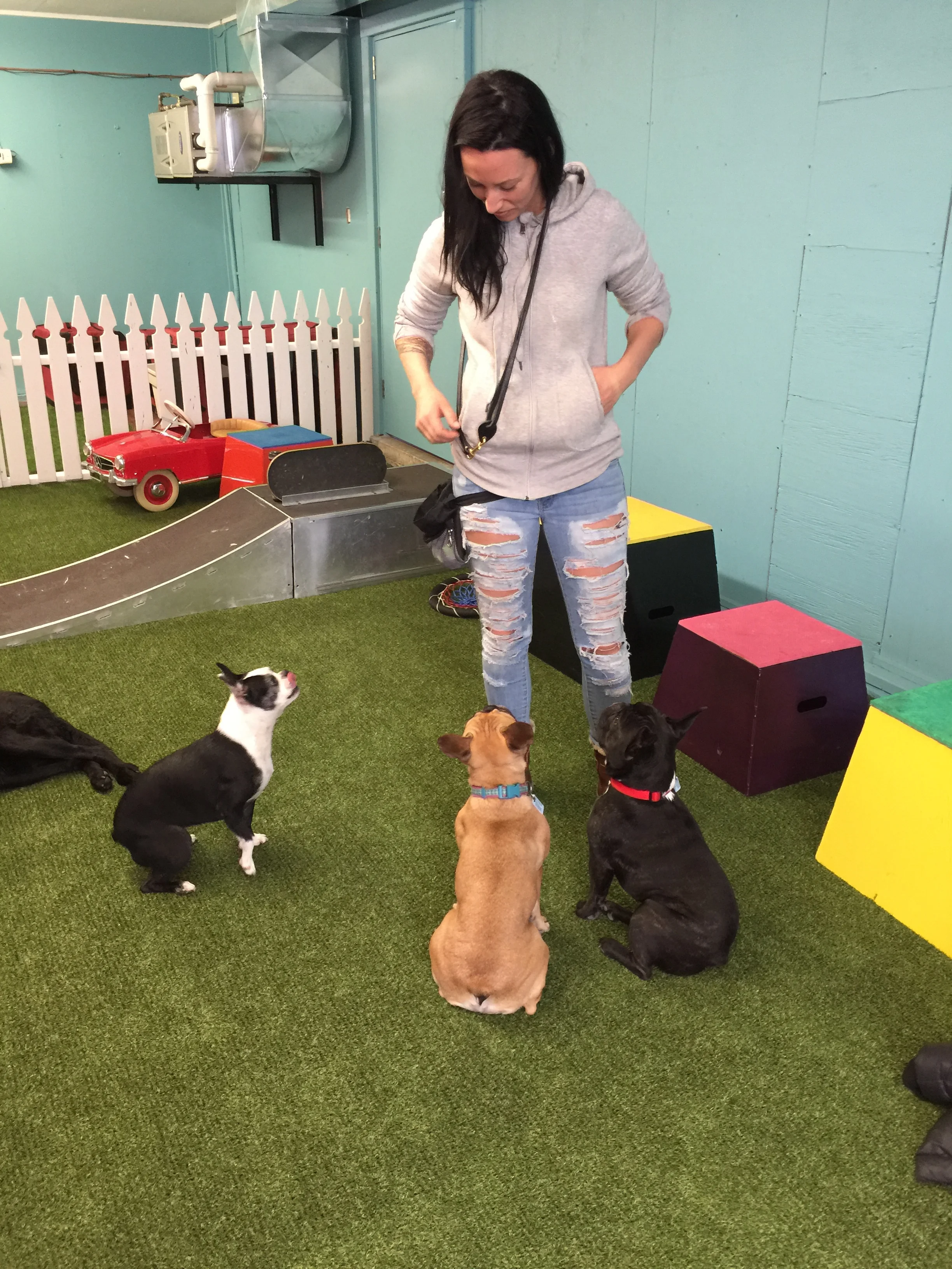 MissMelissa is soopergood at giving treats guys, so me plus Mirabelle got sooper'cited when we found out we can do brainlearning PLUS GET TREATS TOO!!?? WHA!!?? I KNOW!! ..................