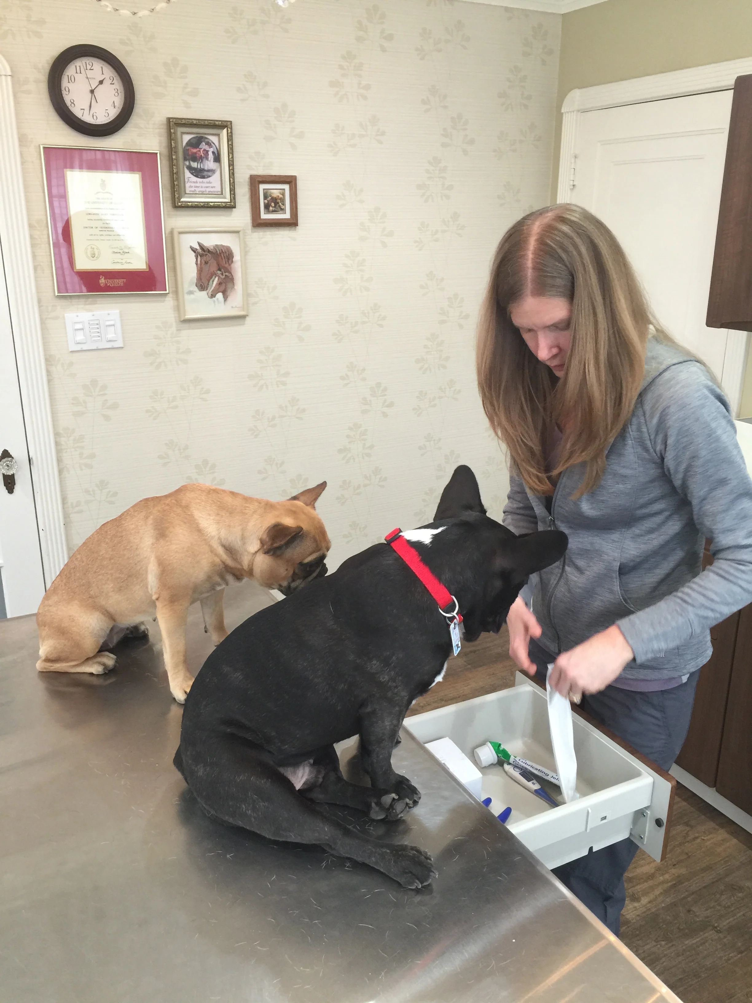 "WHAT IS IN THERE, DOCTORLORI!!?? TREATS!!?? MAYBE IT IS TREATS!!" 
