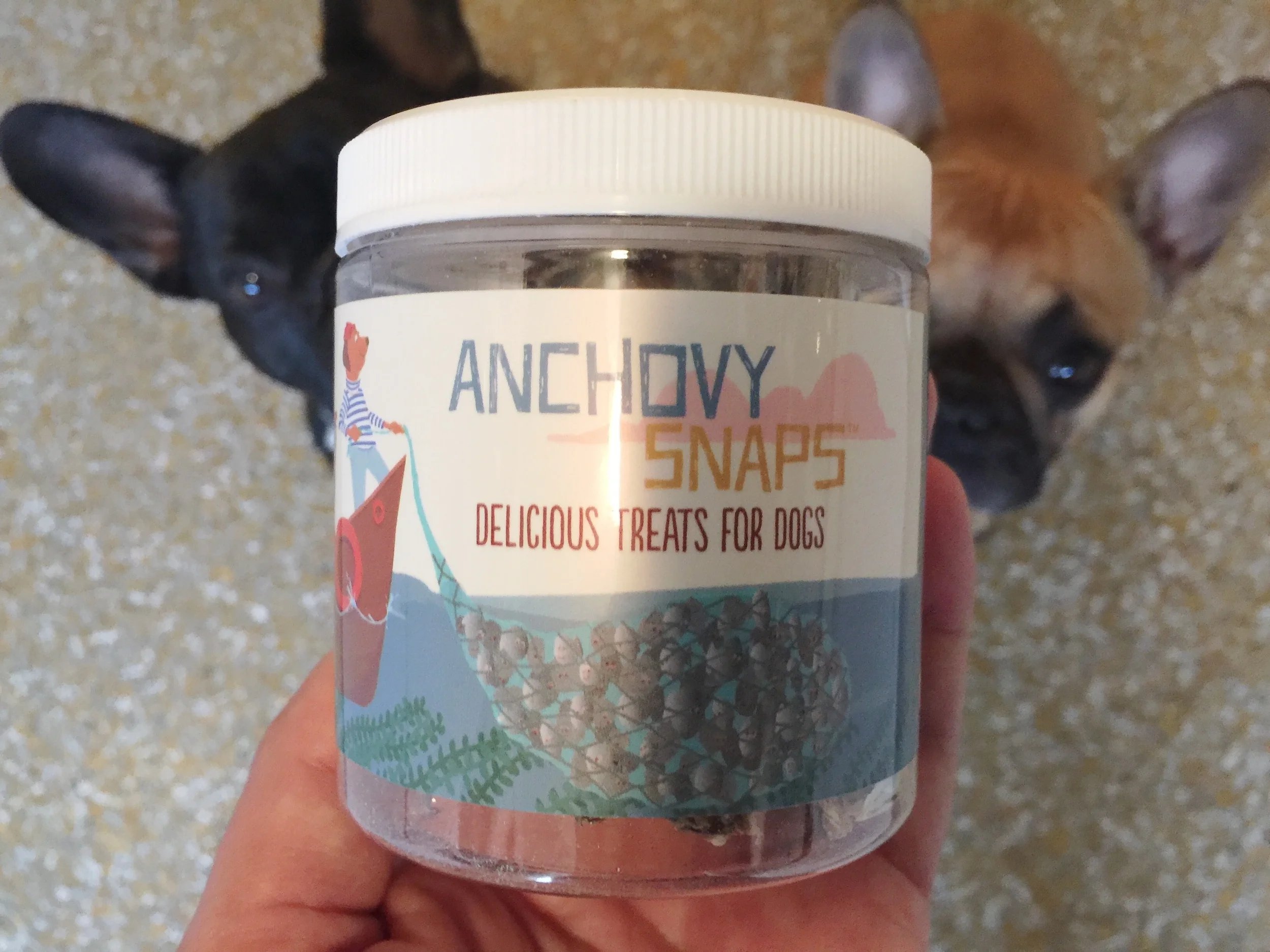 Great googilymoogily, it is ANCHOVIES, MIRABELLE!! I AM DROOLERATING ALLREADYTIMES!!