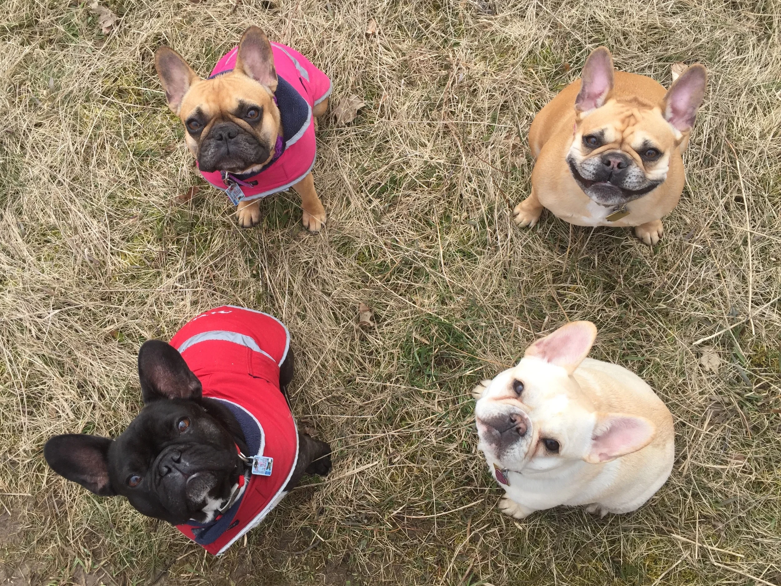 TA DA!! It is me, plus Mirabelle, plus BELLA (top) plus BABY MABEL (bottom)