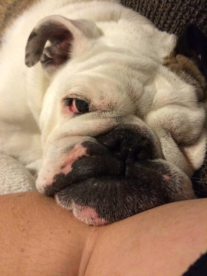 Newman plus his handsome faceparts. 