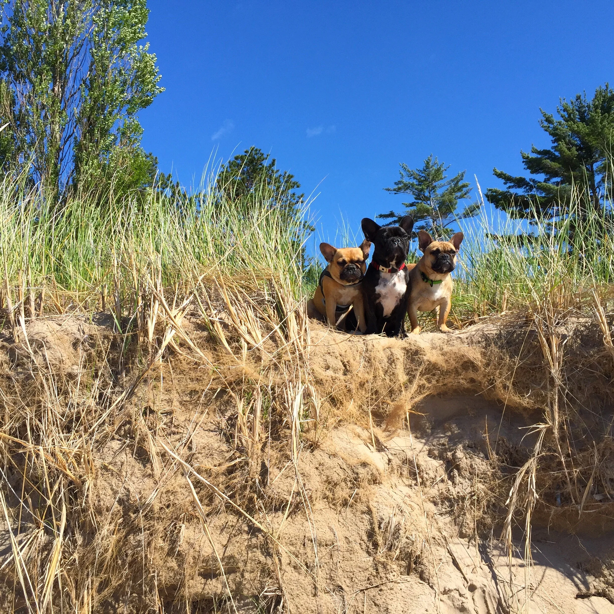 SAND IN OUR BUTTPARTS