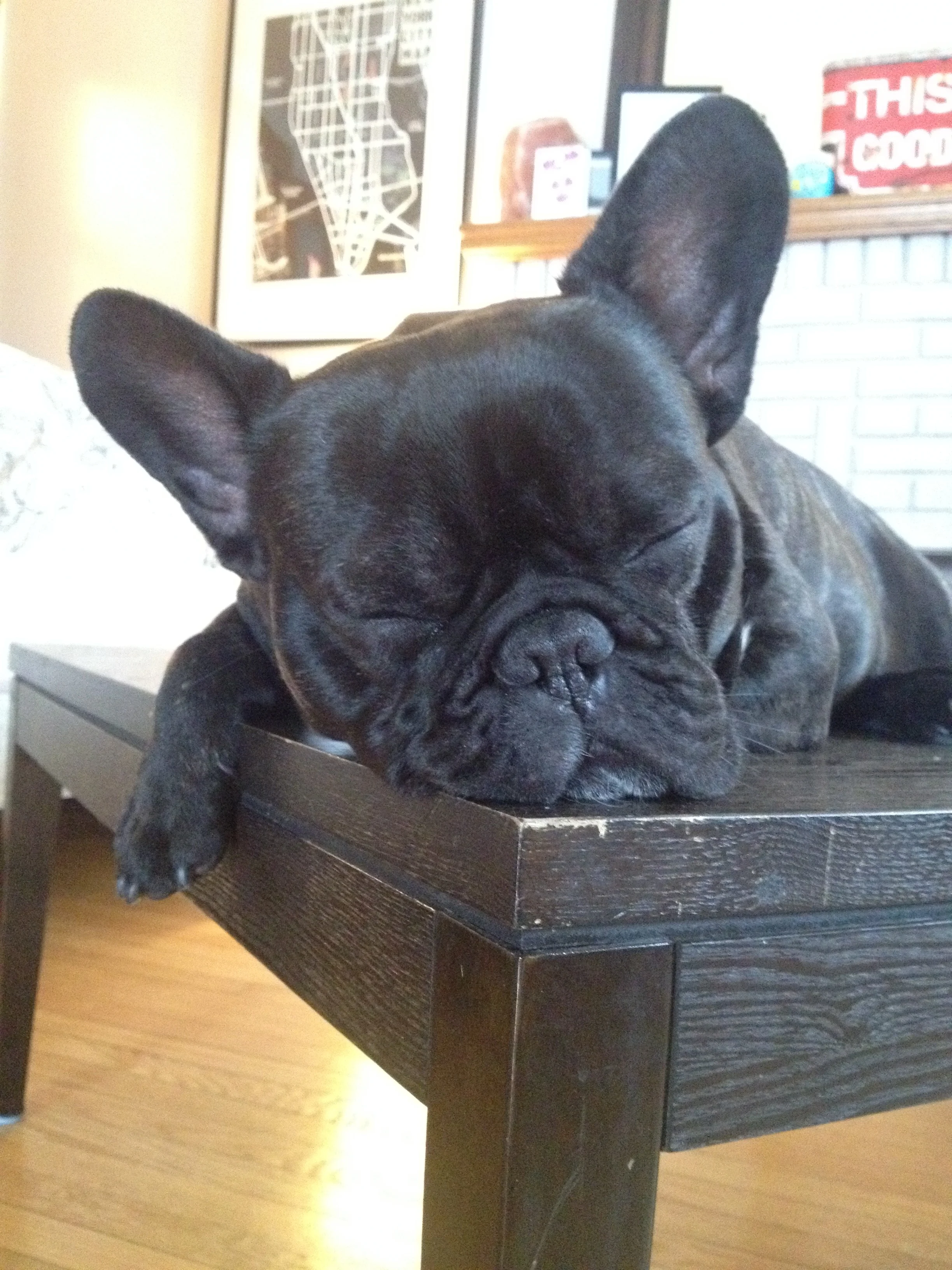 SHHHHHHHHHHH, EVERYBUDDY!! IT IS ME, IN THE DREAMINGPLACE!!