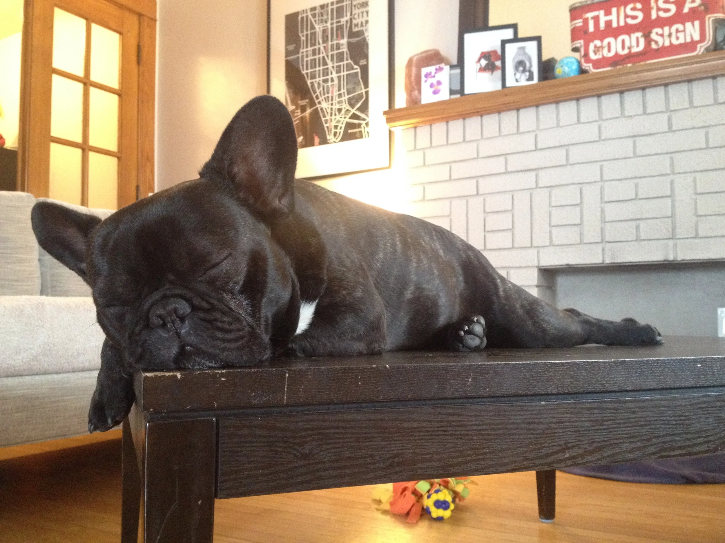 GOLLY!! I AM REALLY IN THE DREAMINGPLACE!!