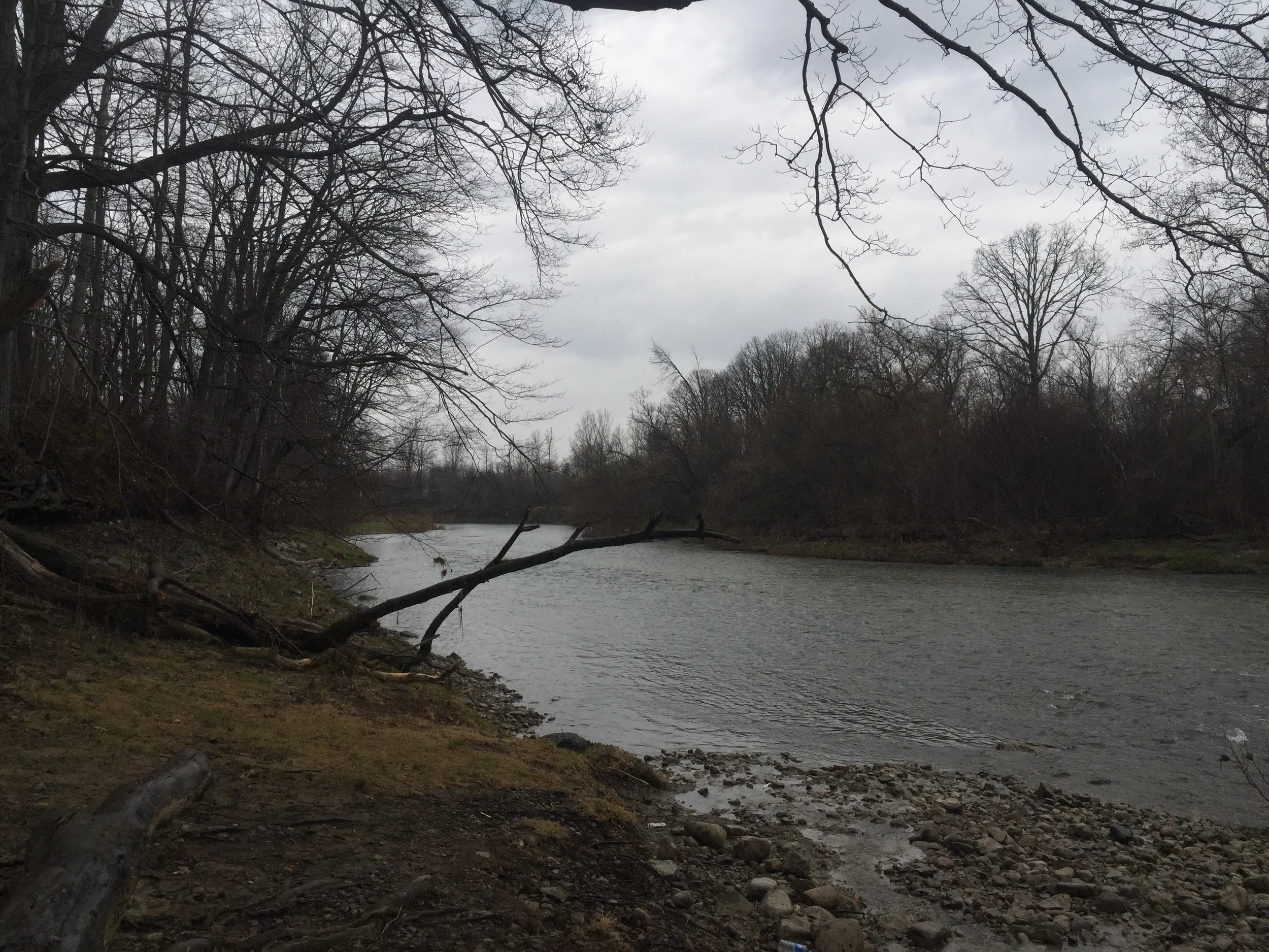 SORTA GLOOMY