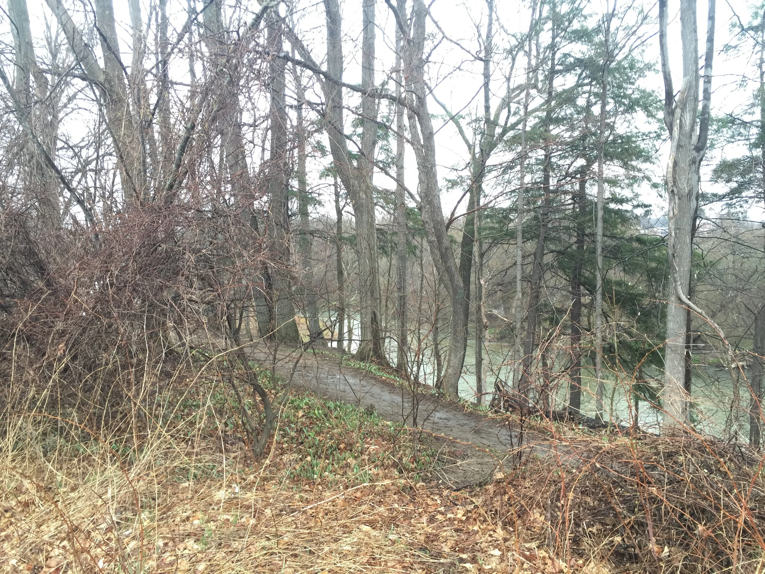 THE OLD WALKINGROAD