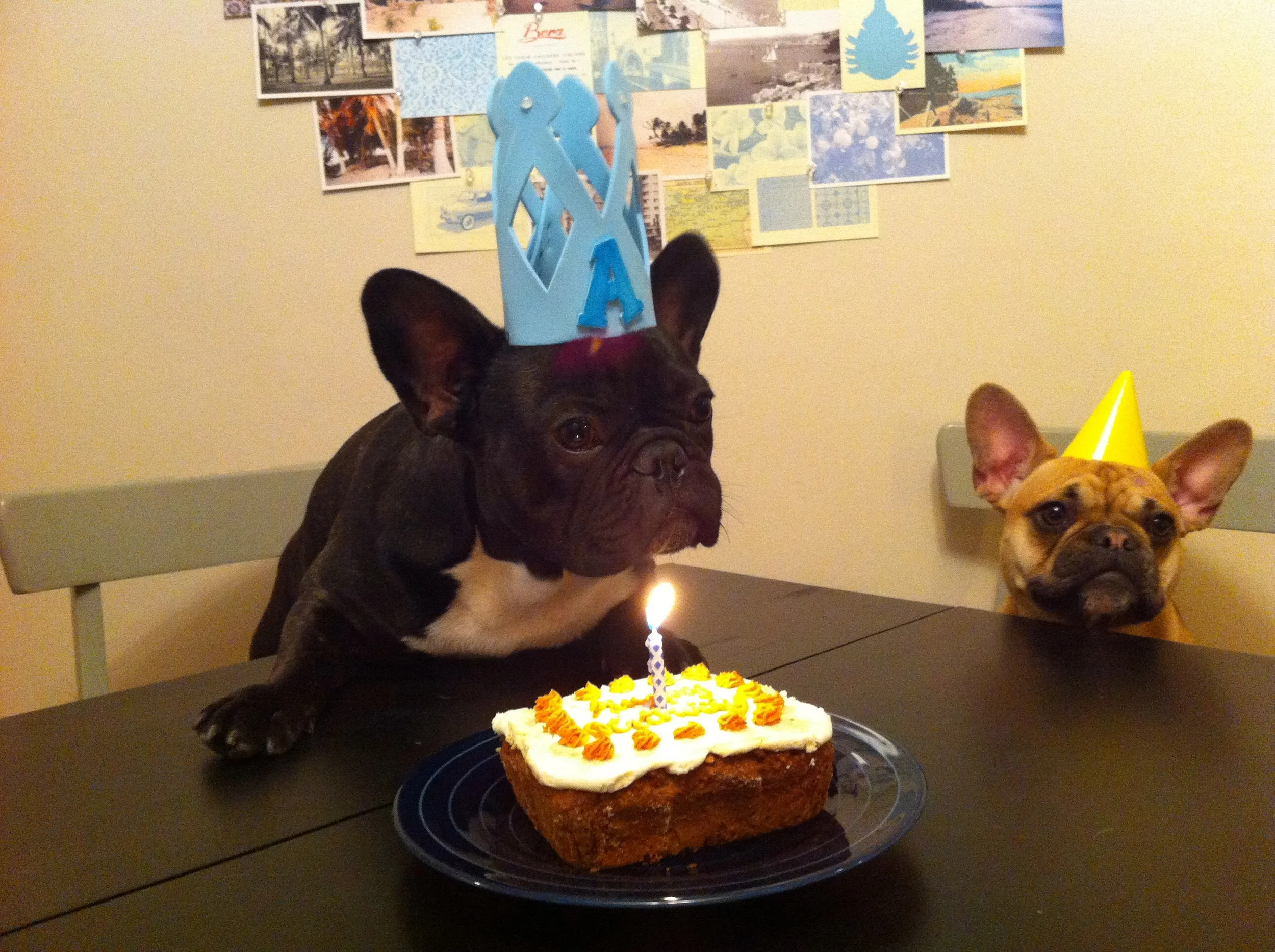 MAKE A WISH! 