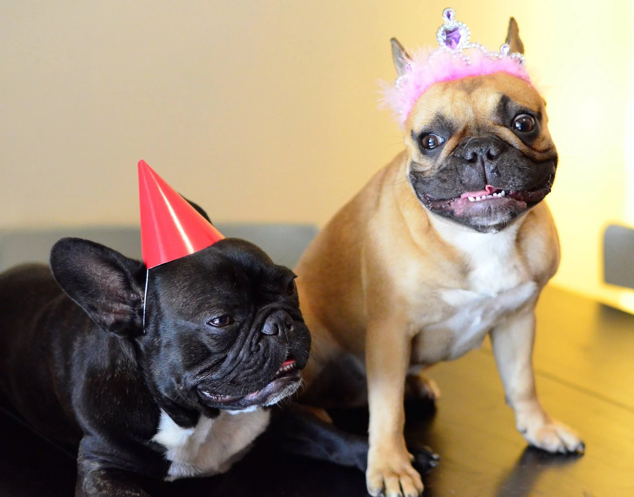 MIRABELLE IS A PRINCESS!! 