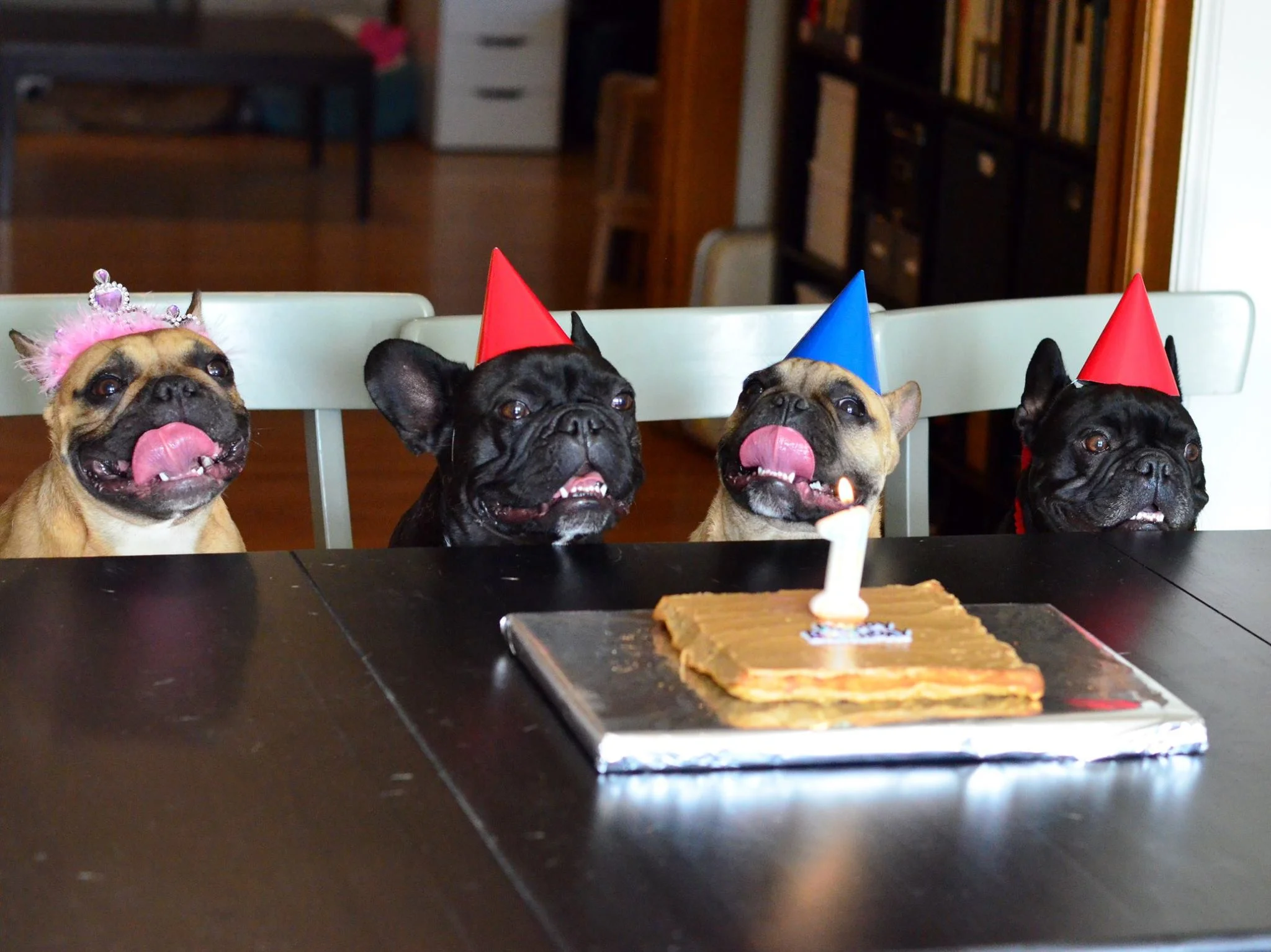 "HAPPYHAPPYBIRTHDAYTIMES TO YOU, HAPPYHAPPYBIRTHDAYTIMES TO YOU....!!"