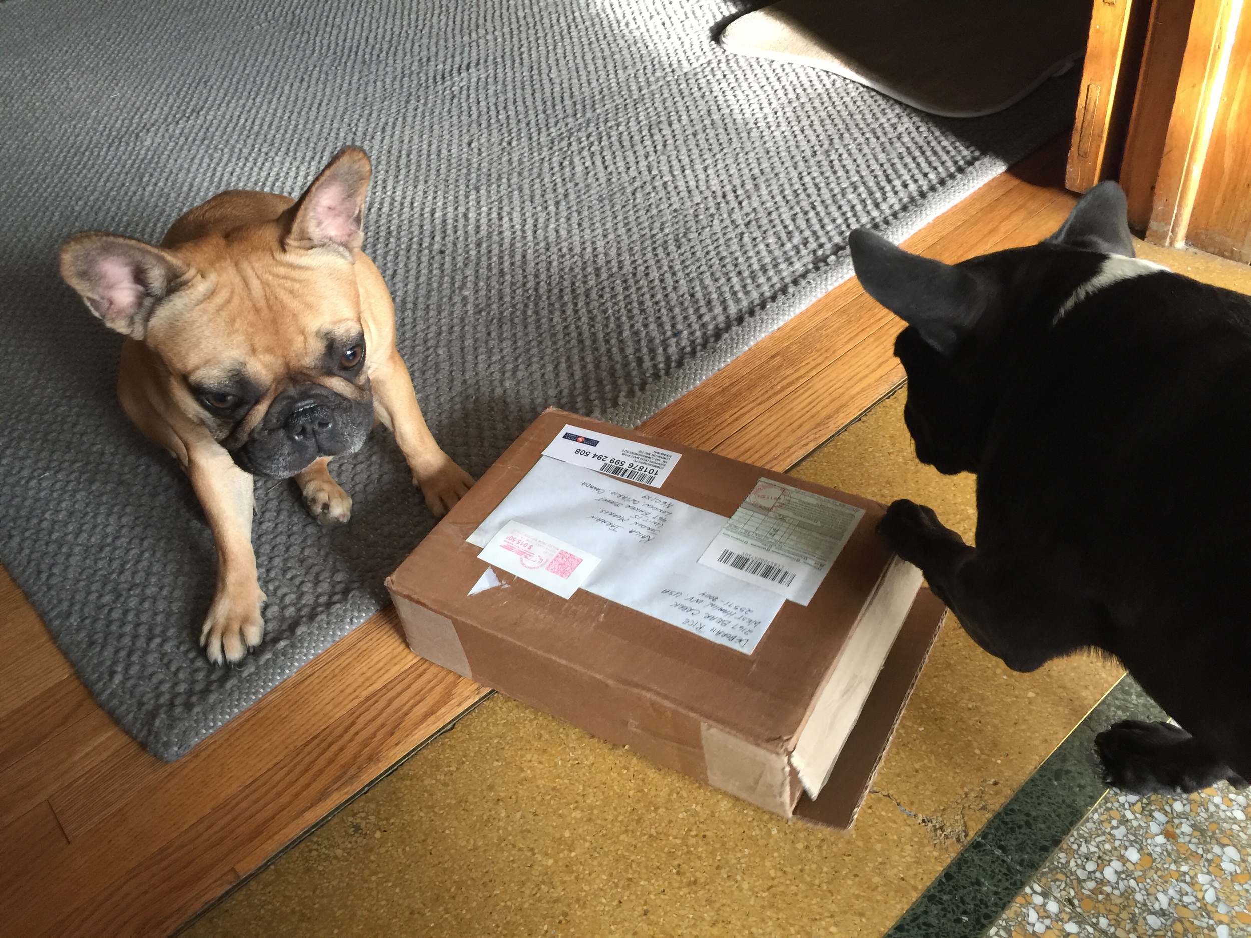 MIRABELLE!! HELP ME OPEN THIS BOXALOPE AND STUFF!! 