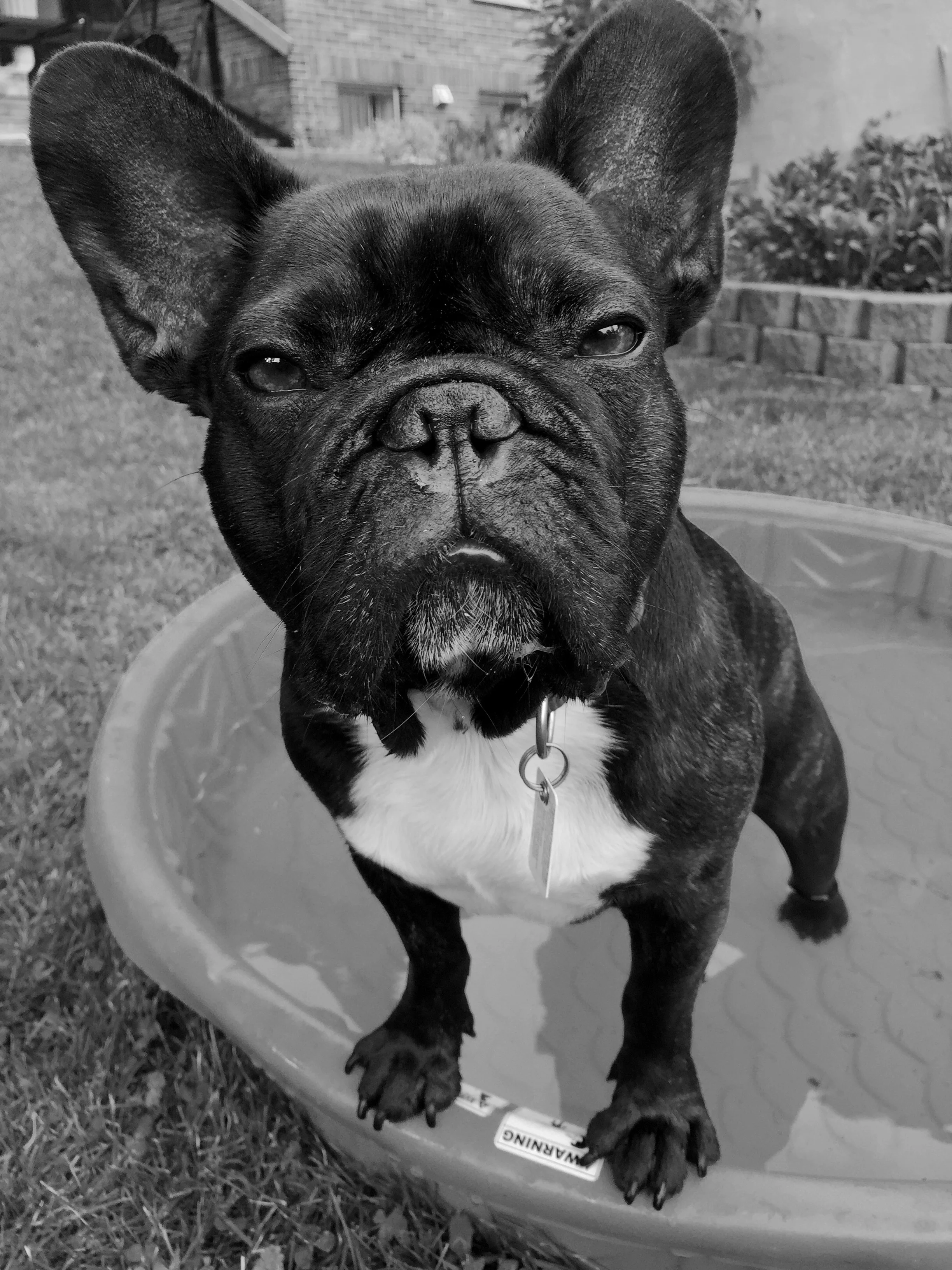 ALLA MY FACEPARTS IN THE BLOO PUDDLEPOND!!
