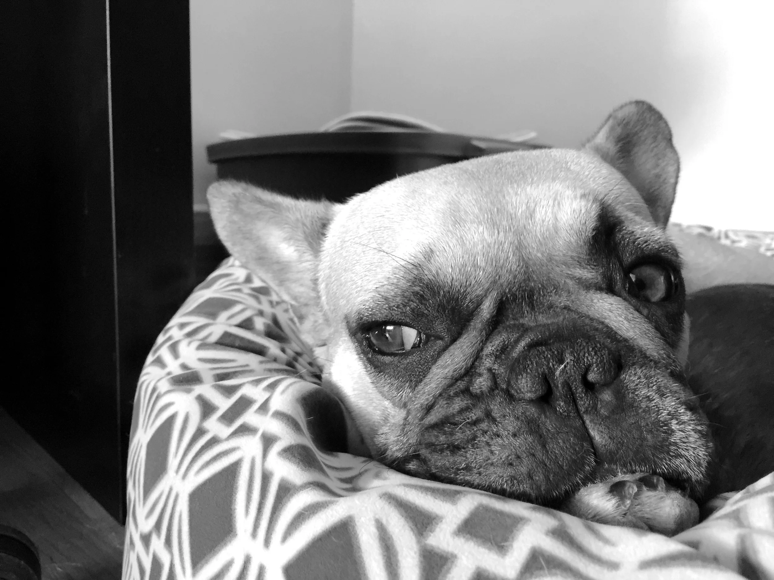MIRABELLE IN THE PUFFYBED!!