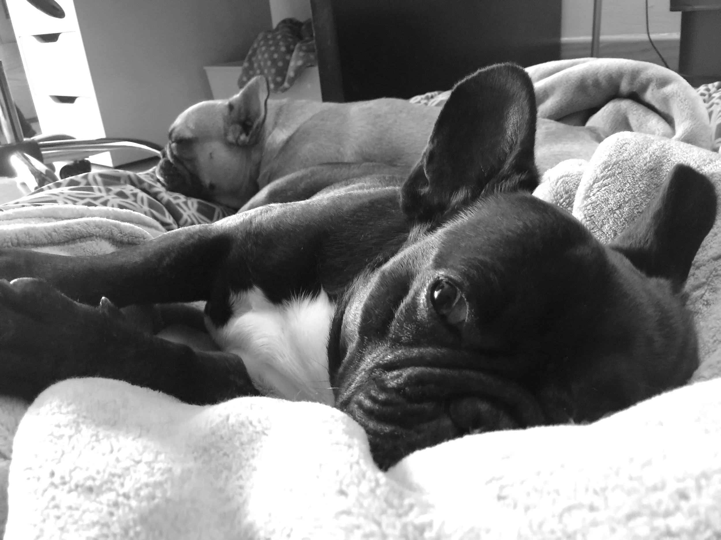 BOTH OF US ALL COMFYCOZY!! 