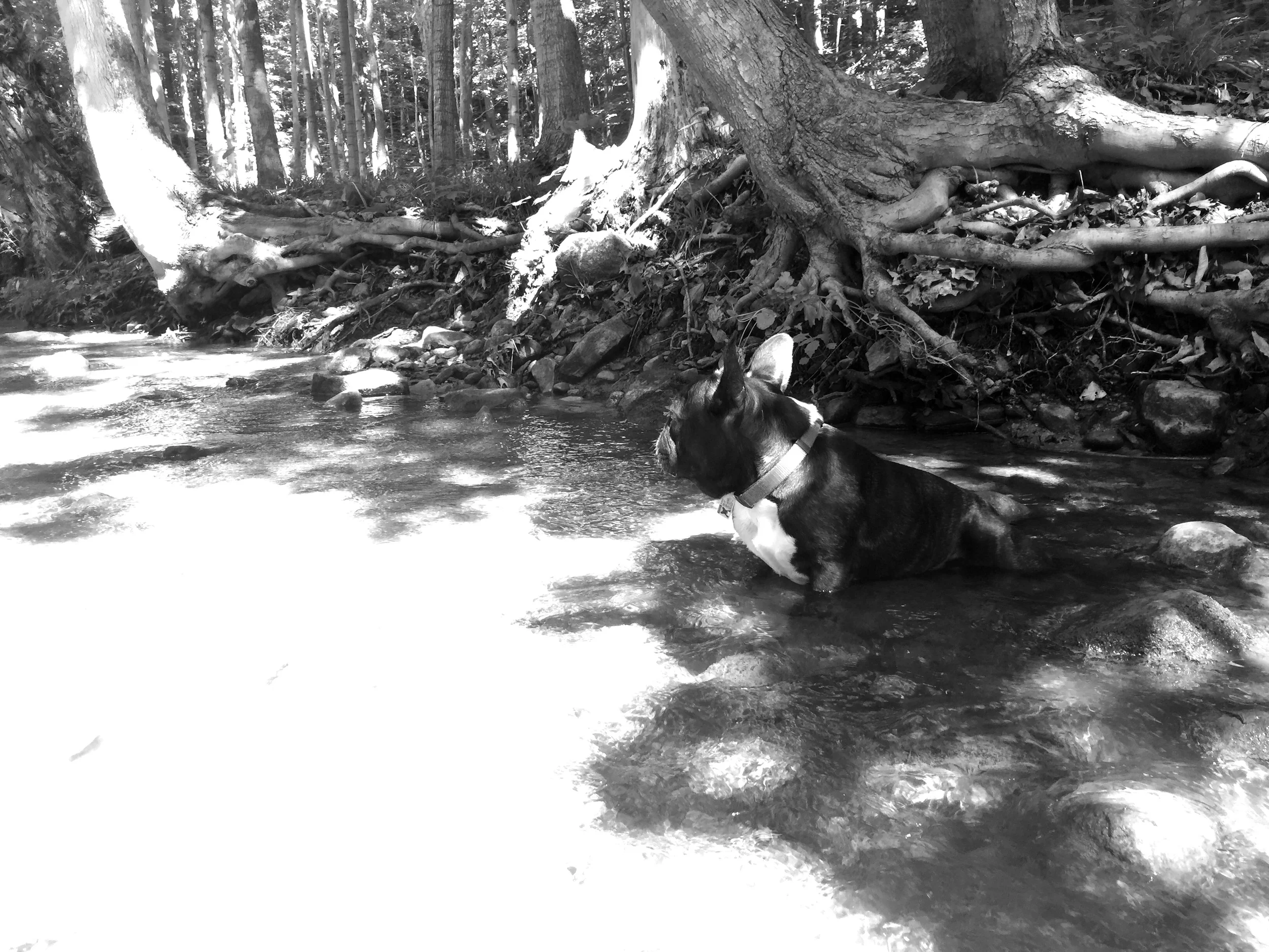 COOLING OFF THE UNDERCARRIAGE!! 