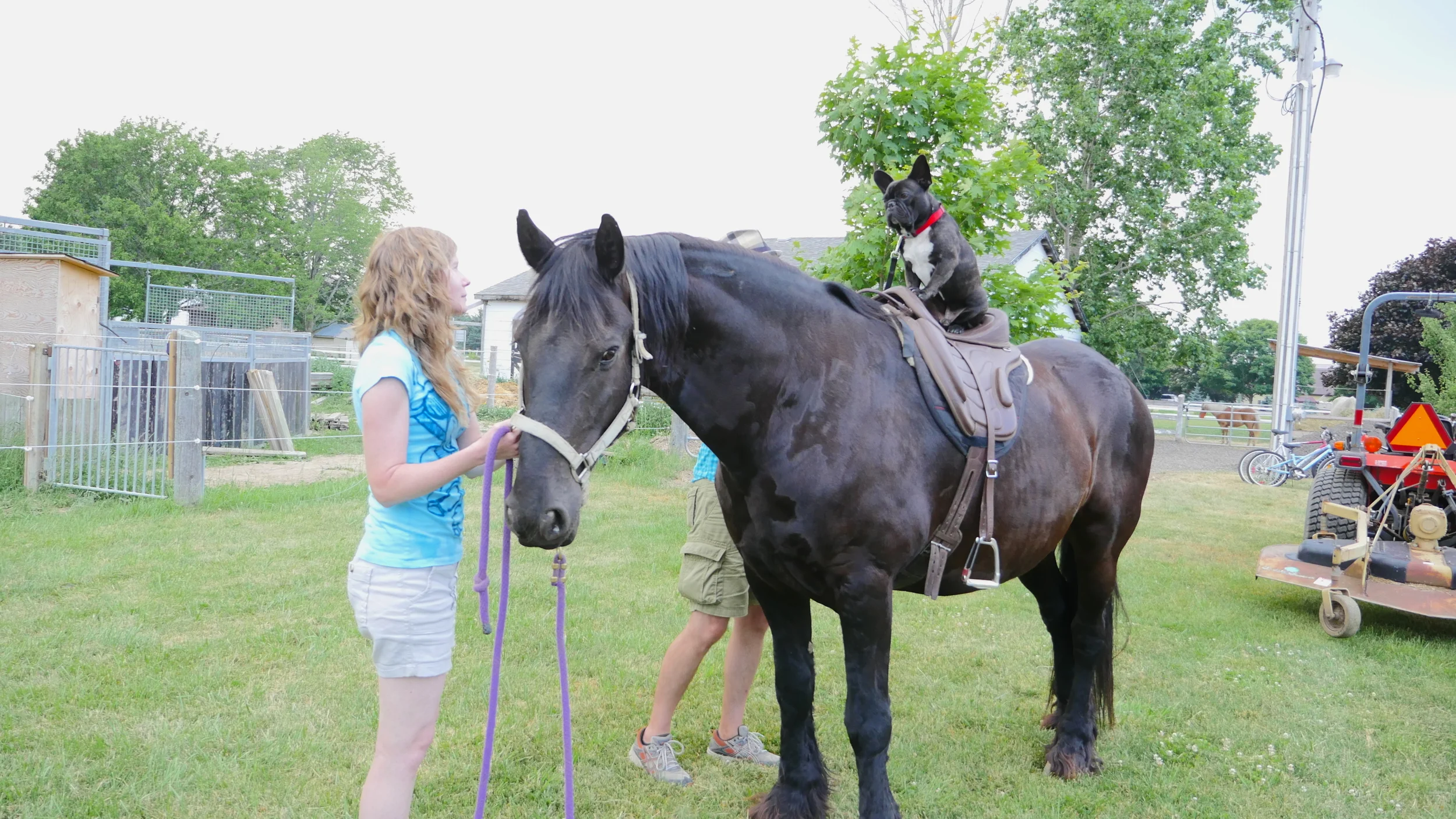 I GET TO RIDE ONNA PONYHORSE!! (8 photos) 