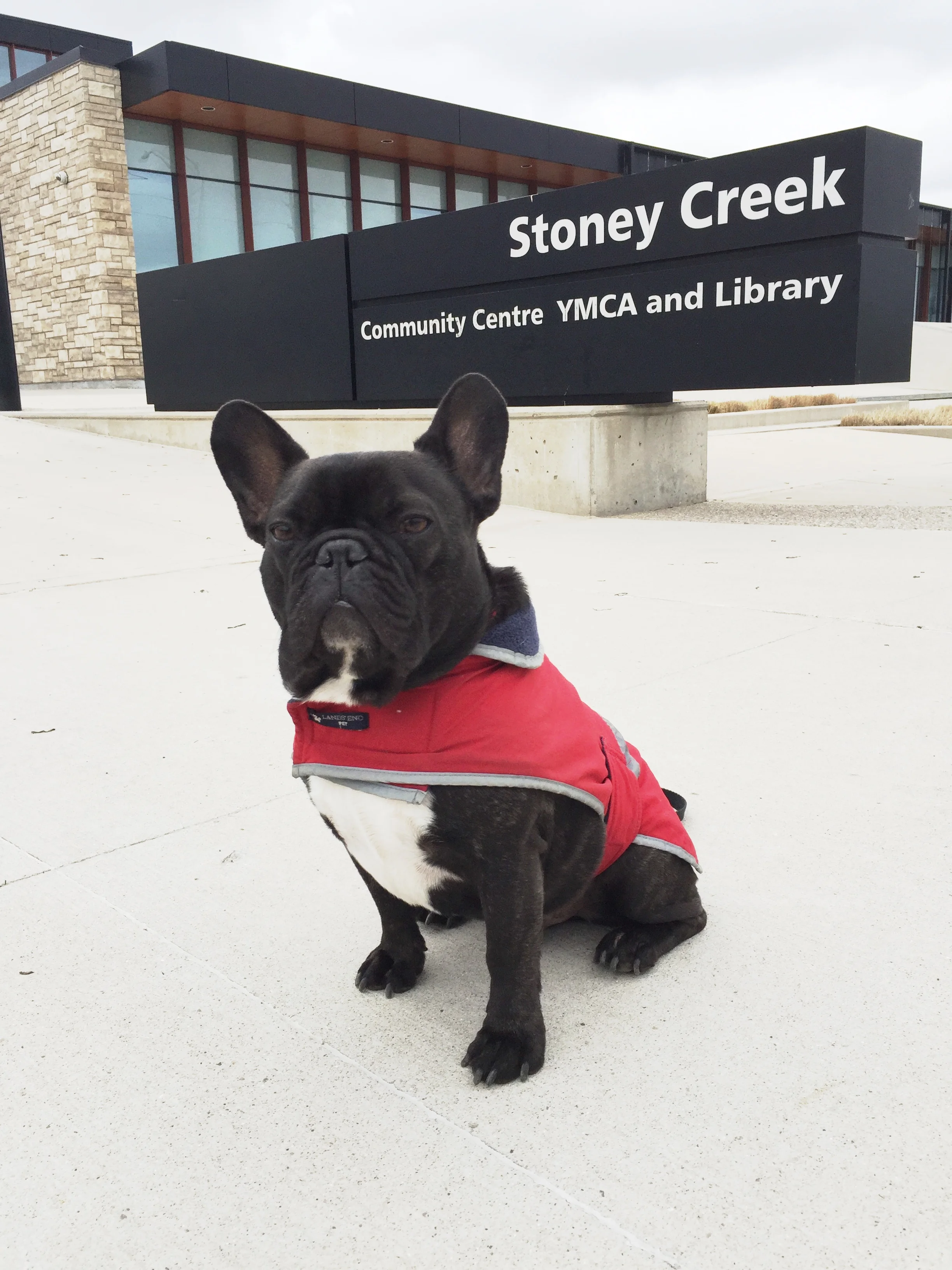 WORSTEST PARKS UPDATE #2 (PARKS 455 - 460) 