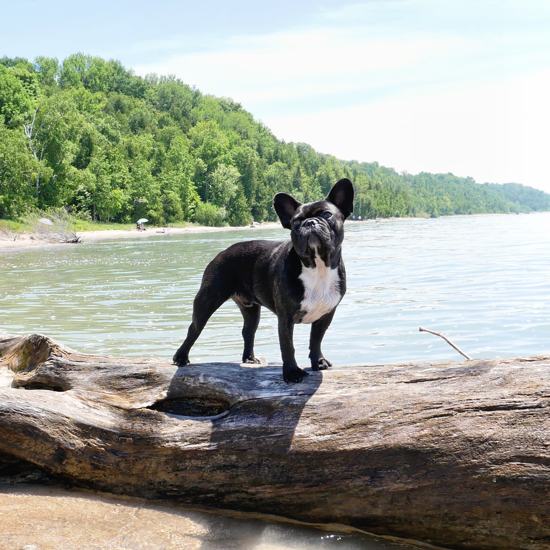 MORE SOOPERCOOL PICTURESTORIES FROM THE SANDYBEACH!! 