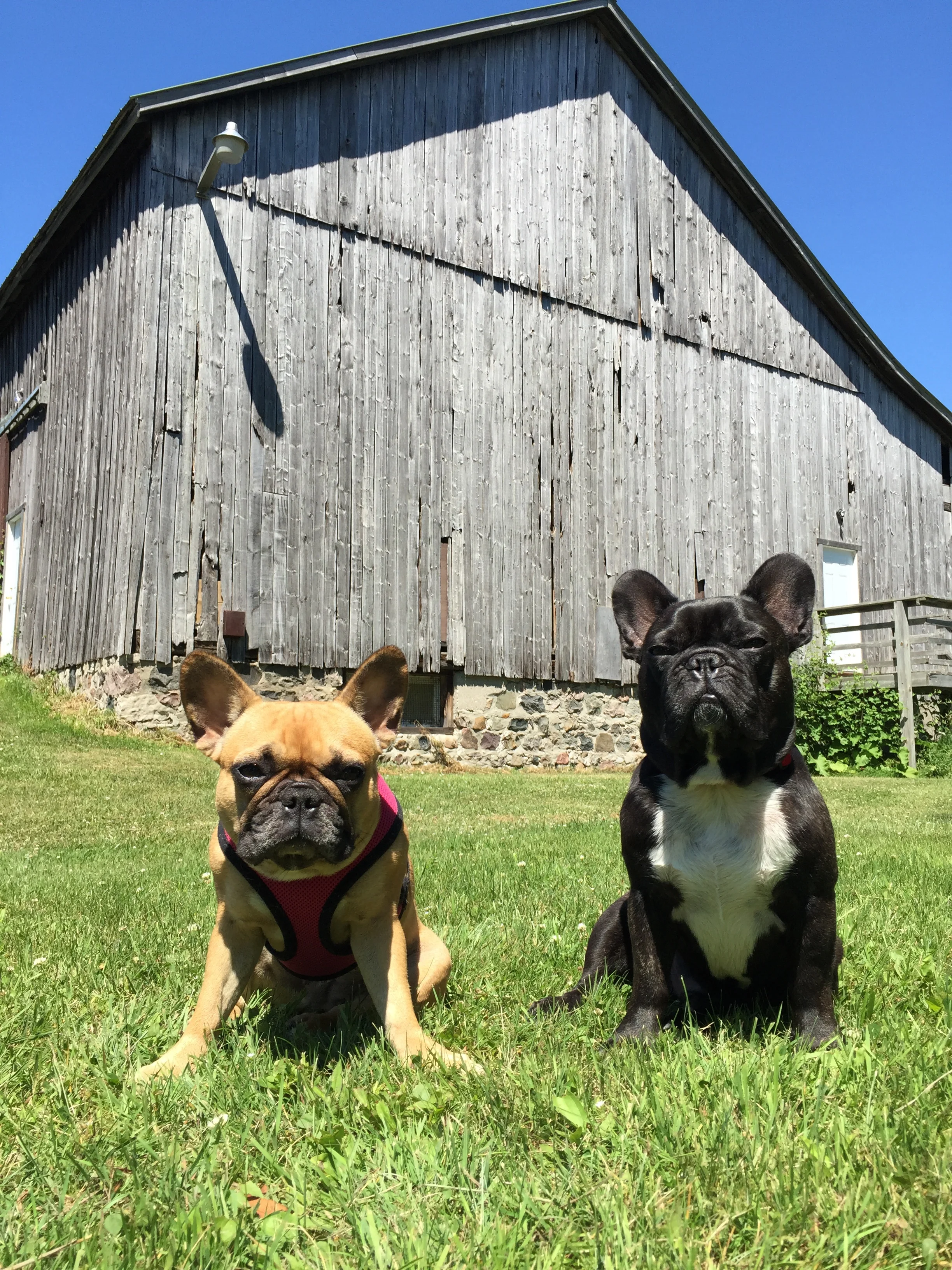POSERATING BY A BUILDINGBARN!! (13 photos) 