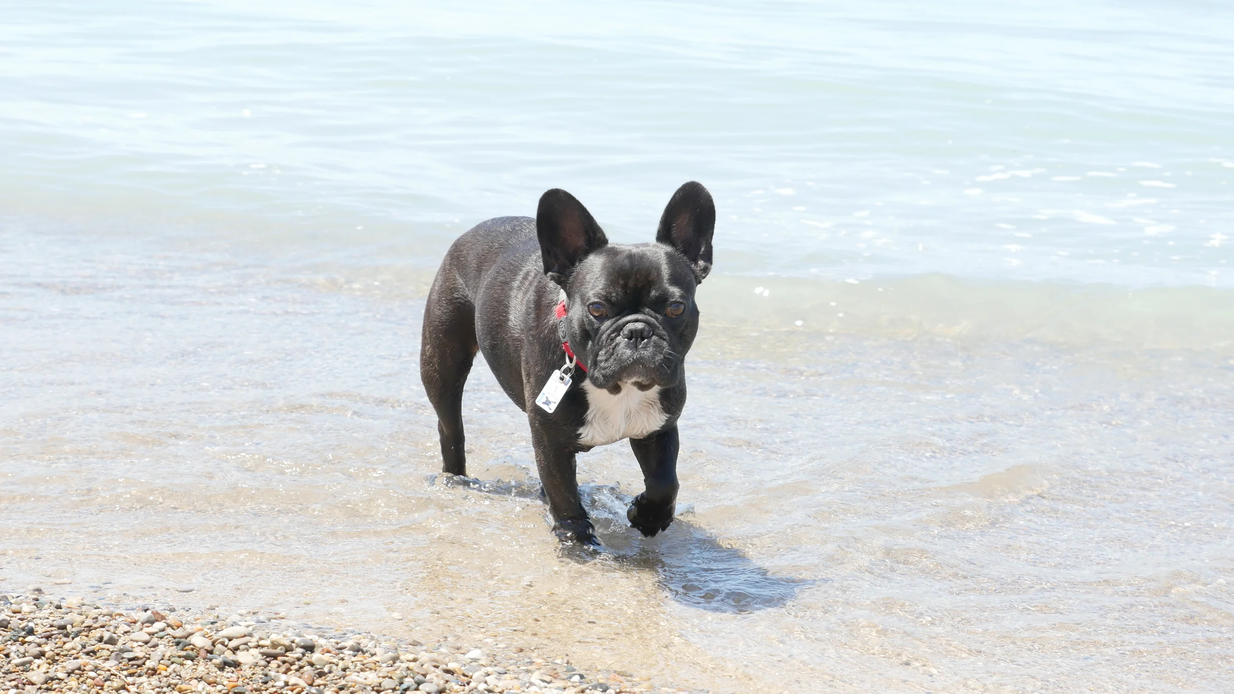 ME GETTING TICKLED BY THE WRINKLEWAVES!! (6 photos) 