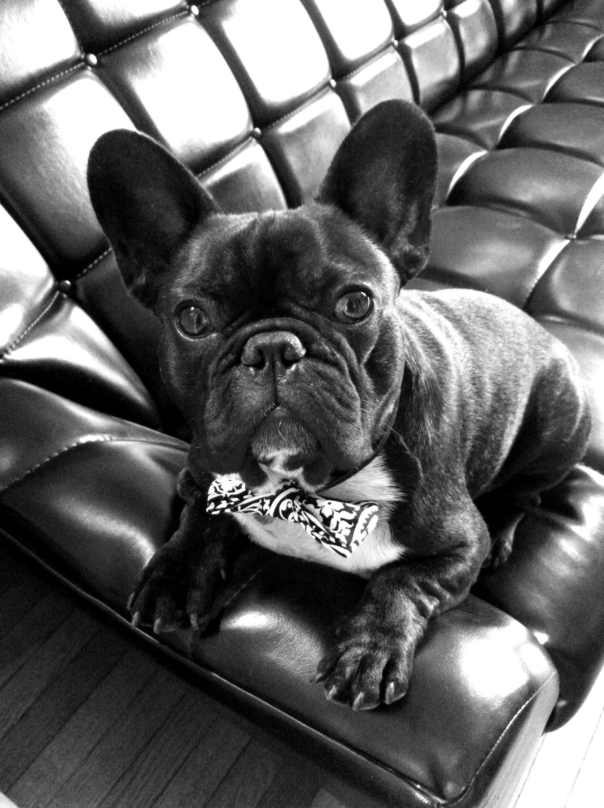 PICTURESTORIES WITH NO RAINBOWPARTS ON THE CROOKED HILL!! (5 photos) 