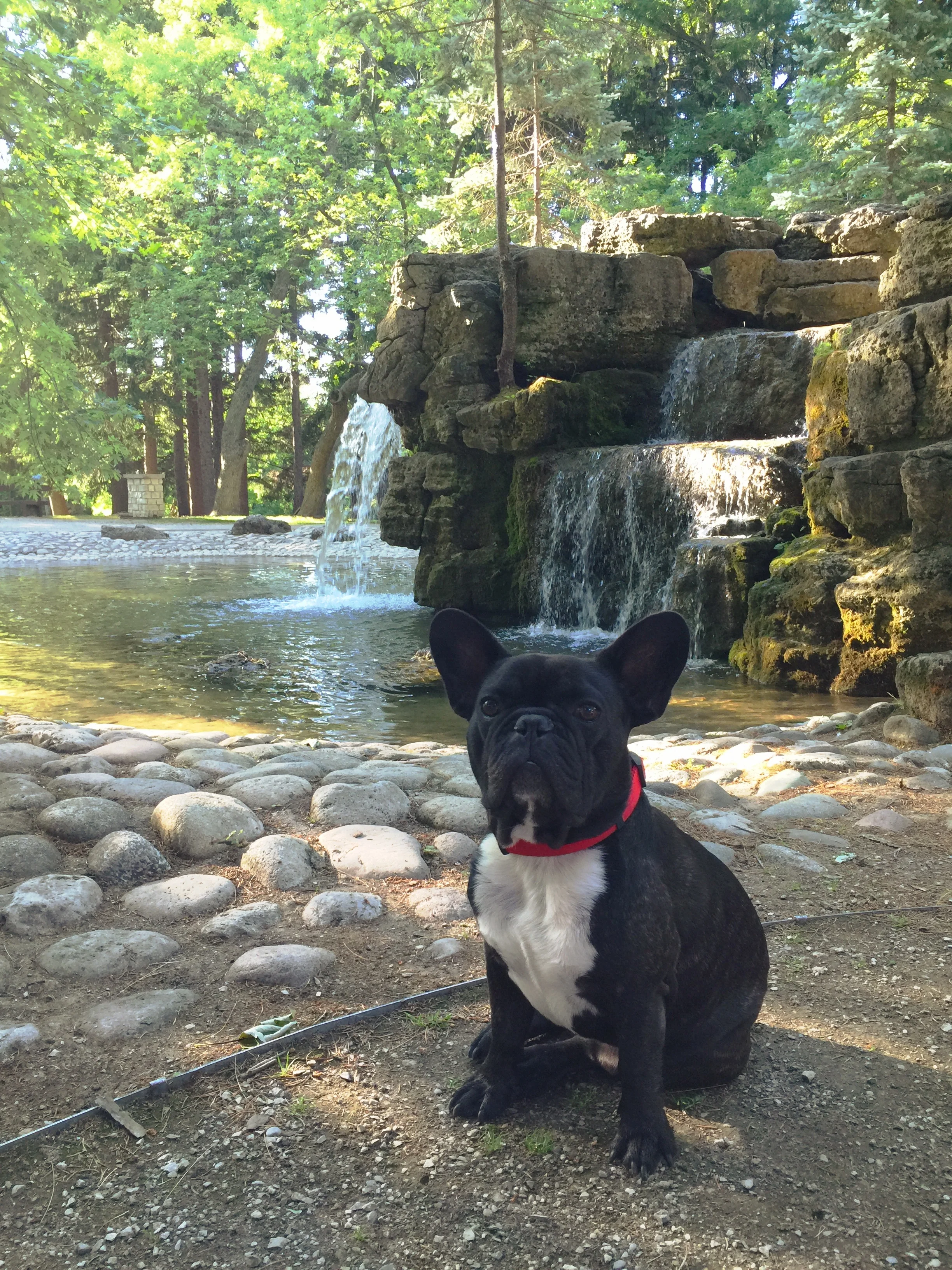 POSERATING WITH A SOOPERPRETTY WATERYFALL!! (7 photos) 