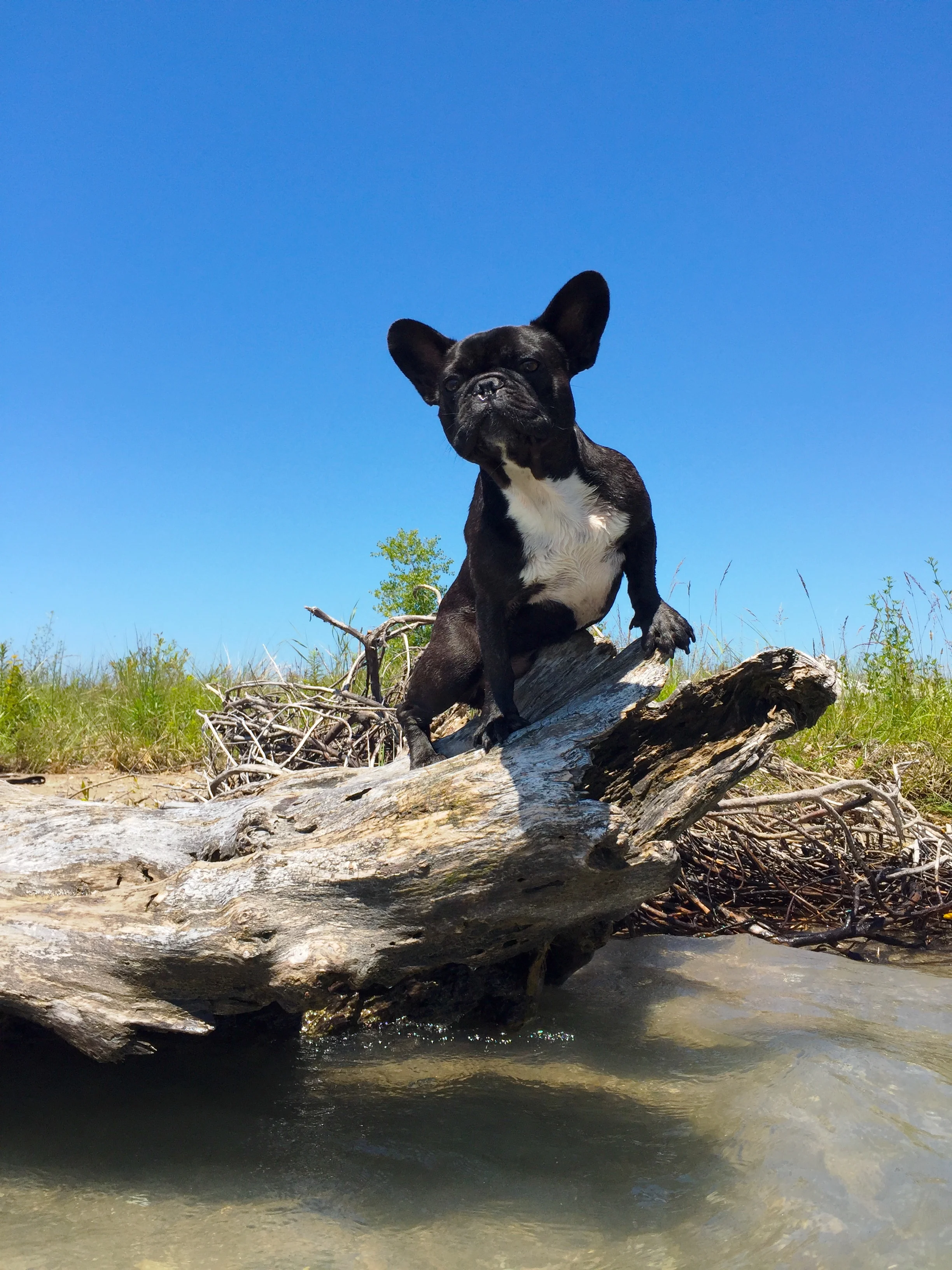SOOPERCOOL PICTURESTORIES LEFTOVER FROM THE SANDYBEACH!! (6 photos) 