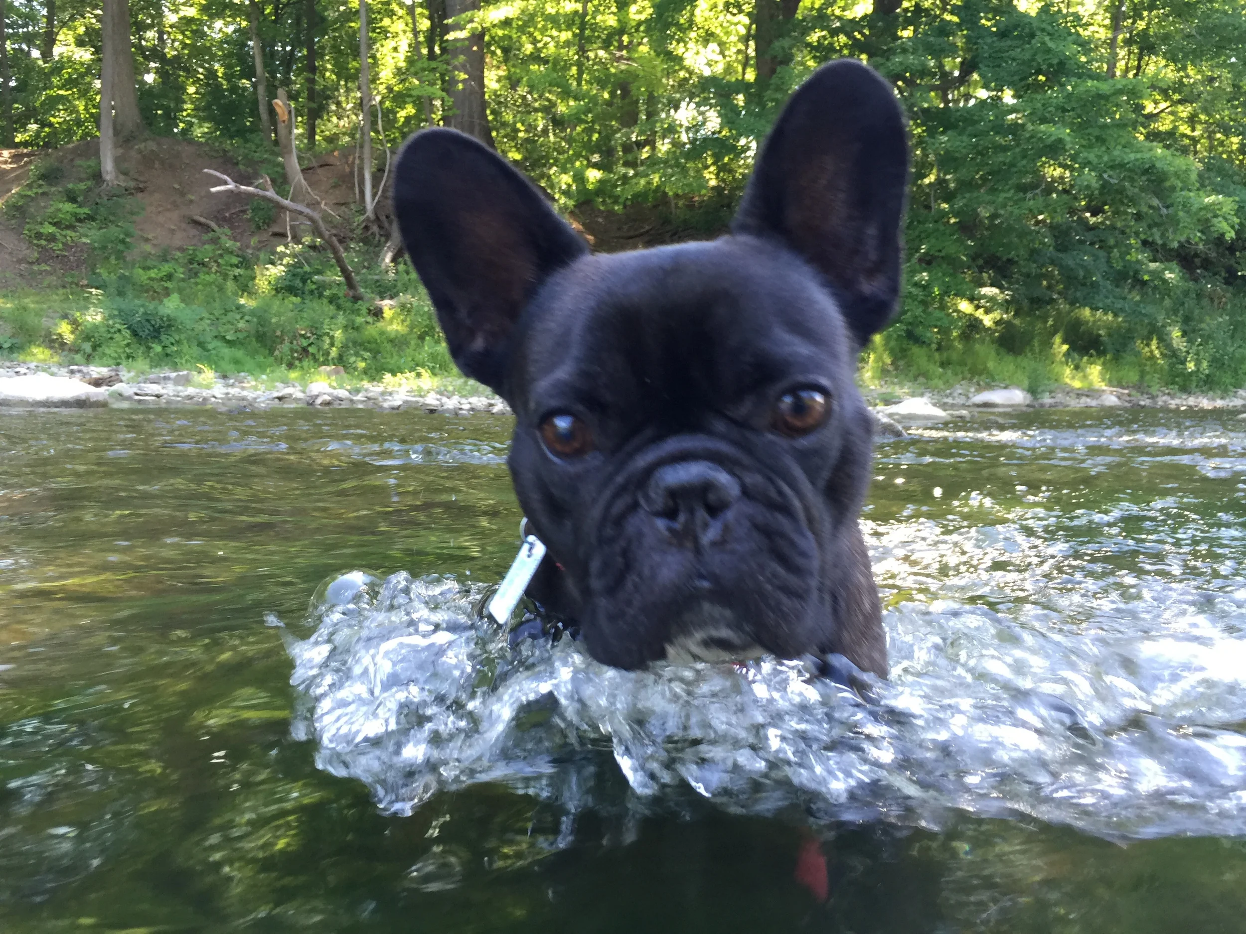 ME PLUS MIRABELLE COOLING OFF OUR UNDERCARRIAGES!! (8 photos) 