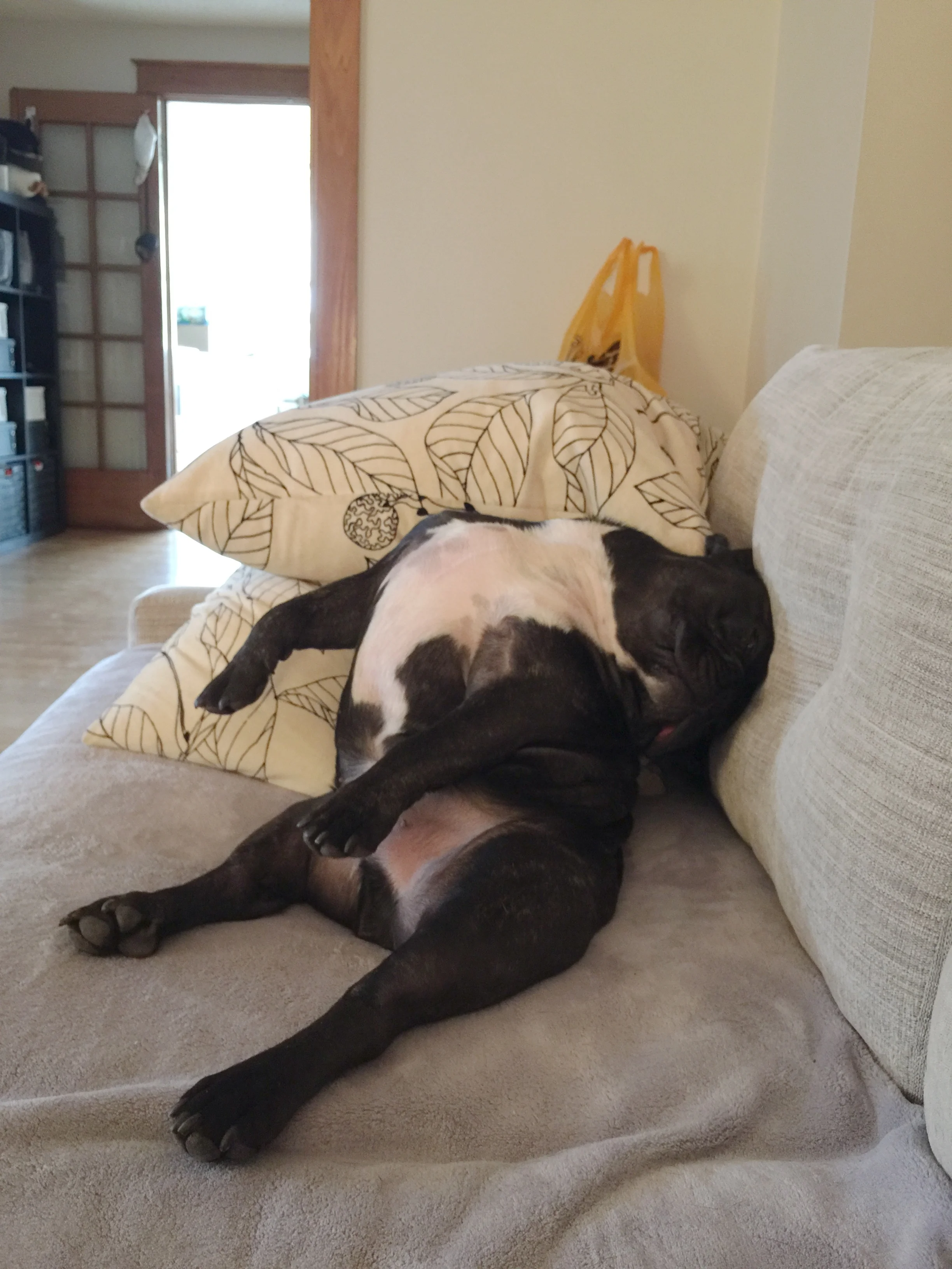 WINNING AT LEISURETIMES: NEXT BRAINLEARNING LESSON!! (4 photos) 