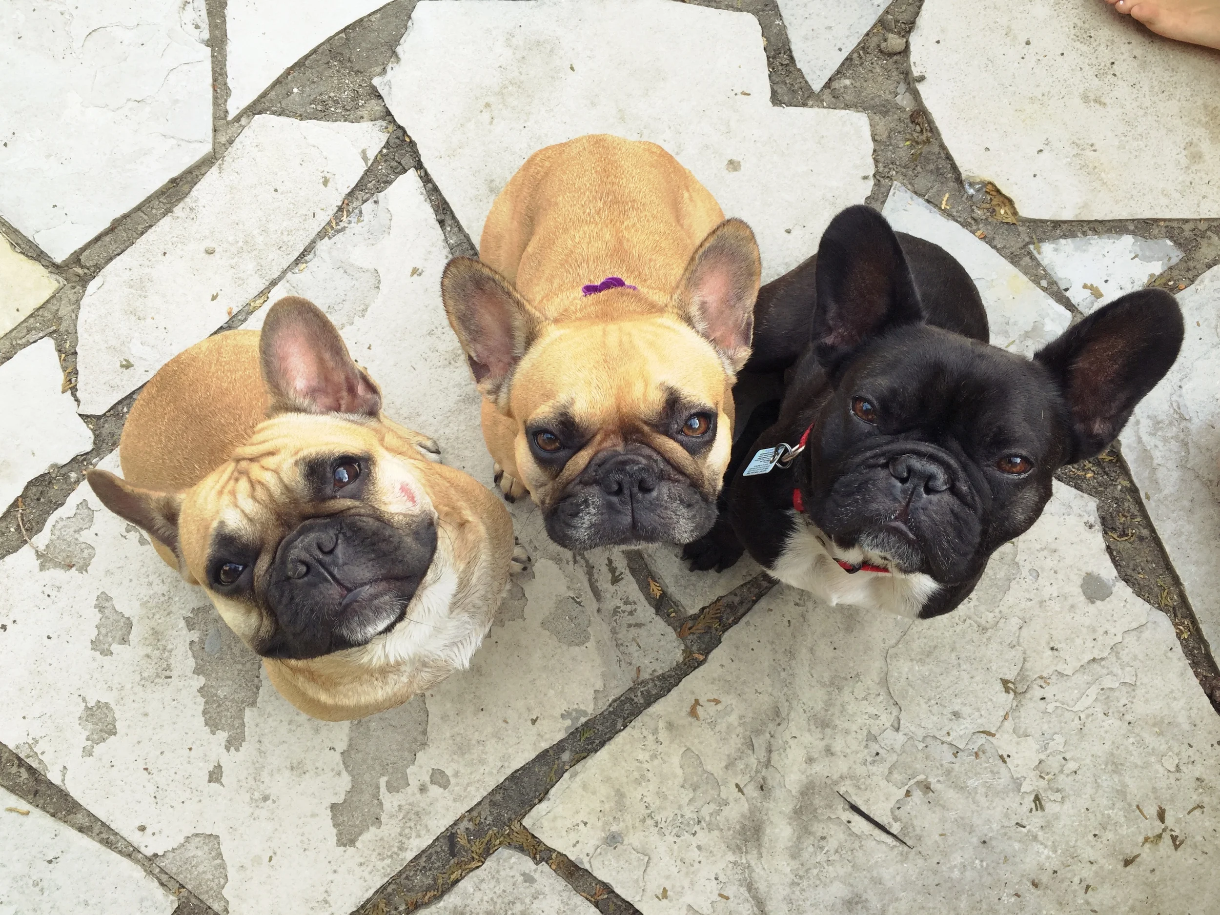 PICTURESTORIES FROM MARCEL'S BIRTHDAYPARTYTIMES!! (13 photos) 