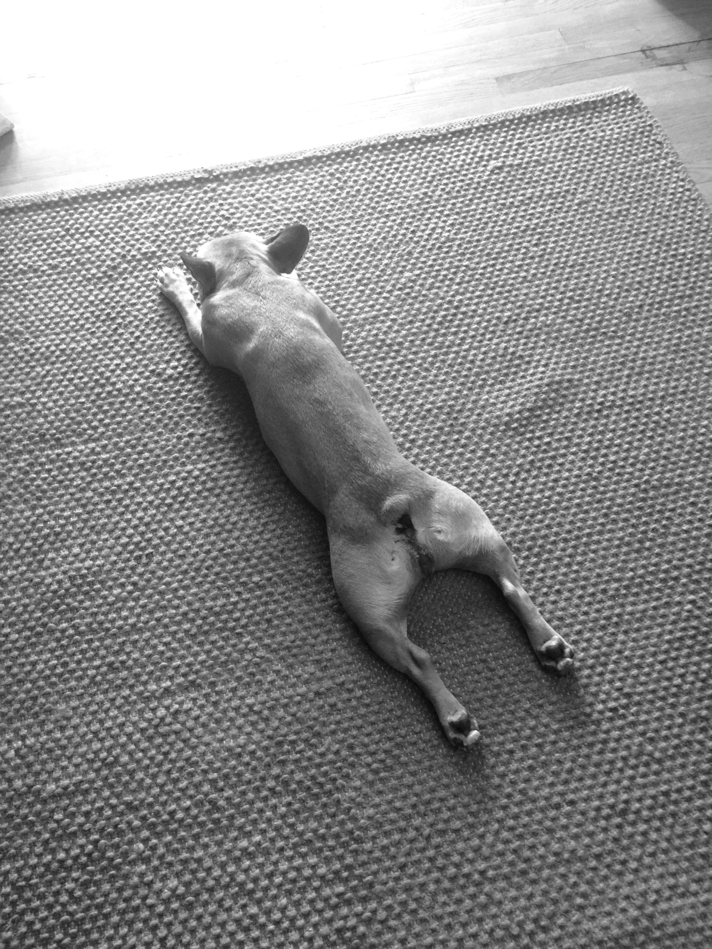 WINNING AT LEISURETIMES: MIRABELLE'S NO RAINBOWPARTS EDITION (6 photos) 