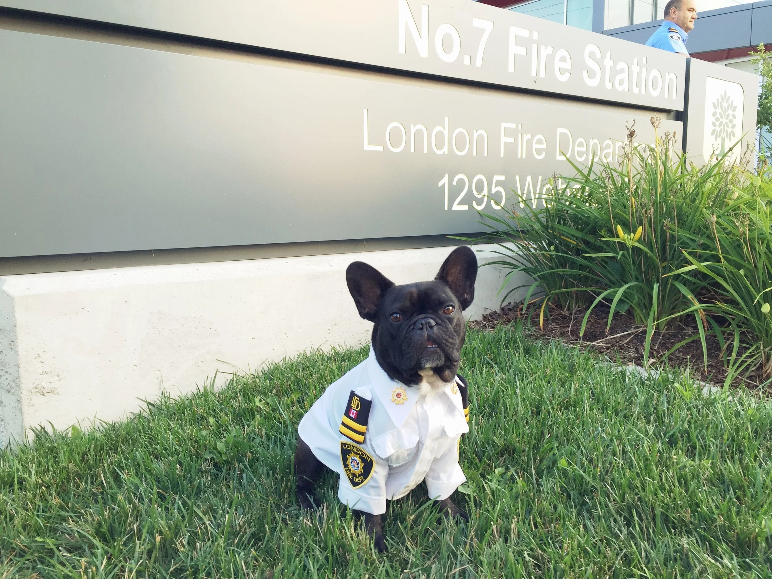 IT IS ME!! ARCHIE BRINDLETON IN MY DRESS UNIFORM AND STUFF!! .........