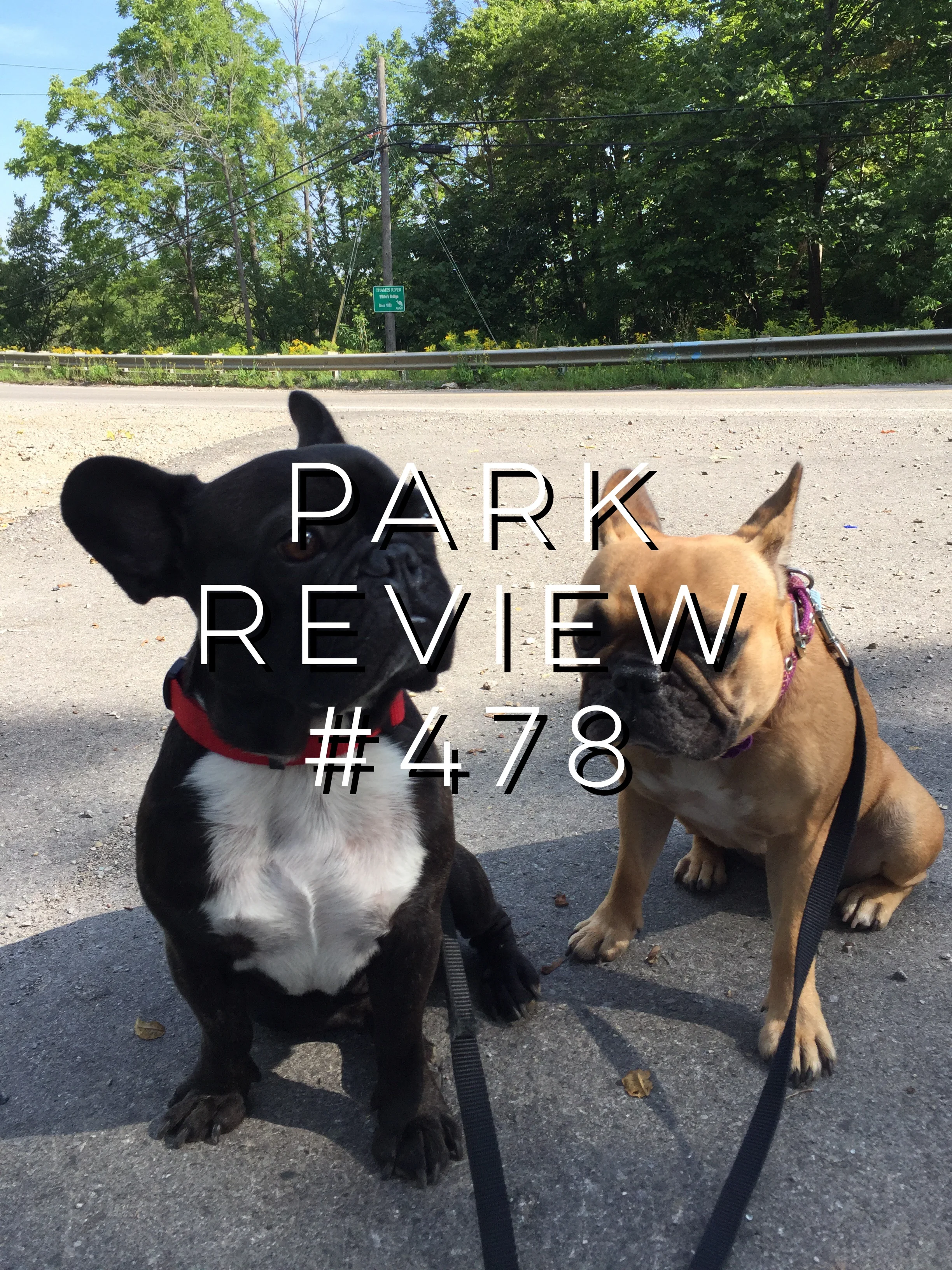 SOUTH THAMES TERRACED FOREST