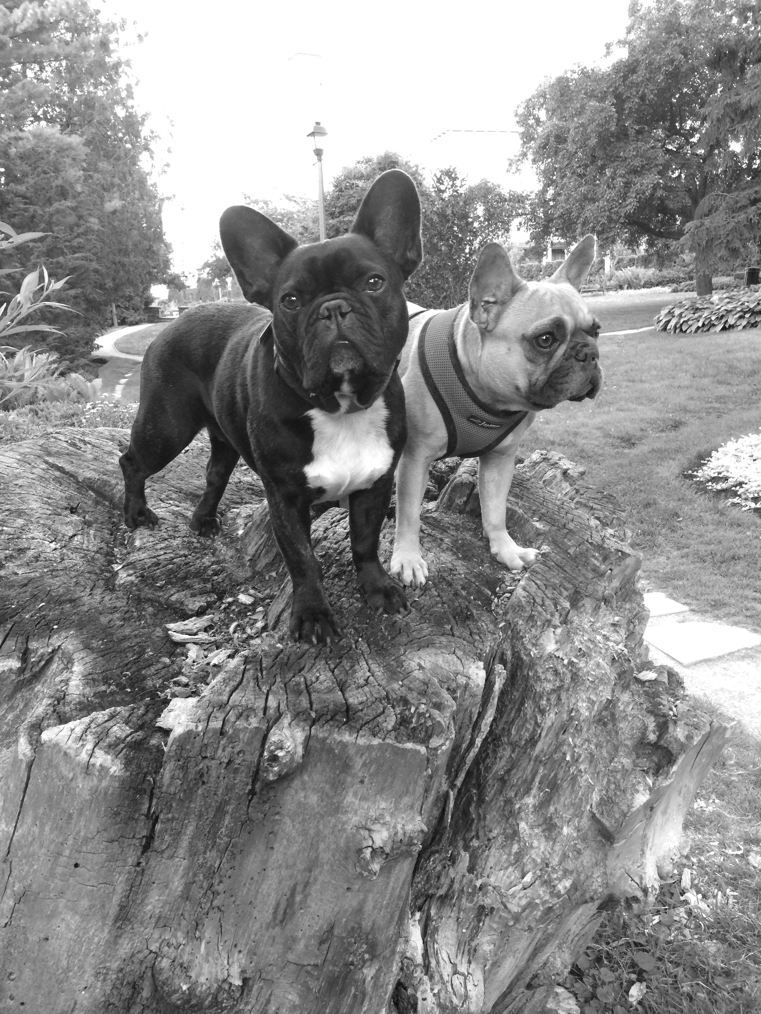 TIMES FOR SOME PICTURESTORIES WITH NO RAINBOWPARTS!! (7 photos) 