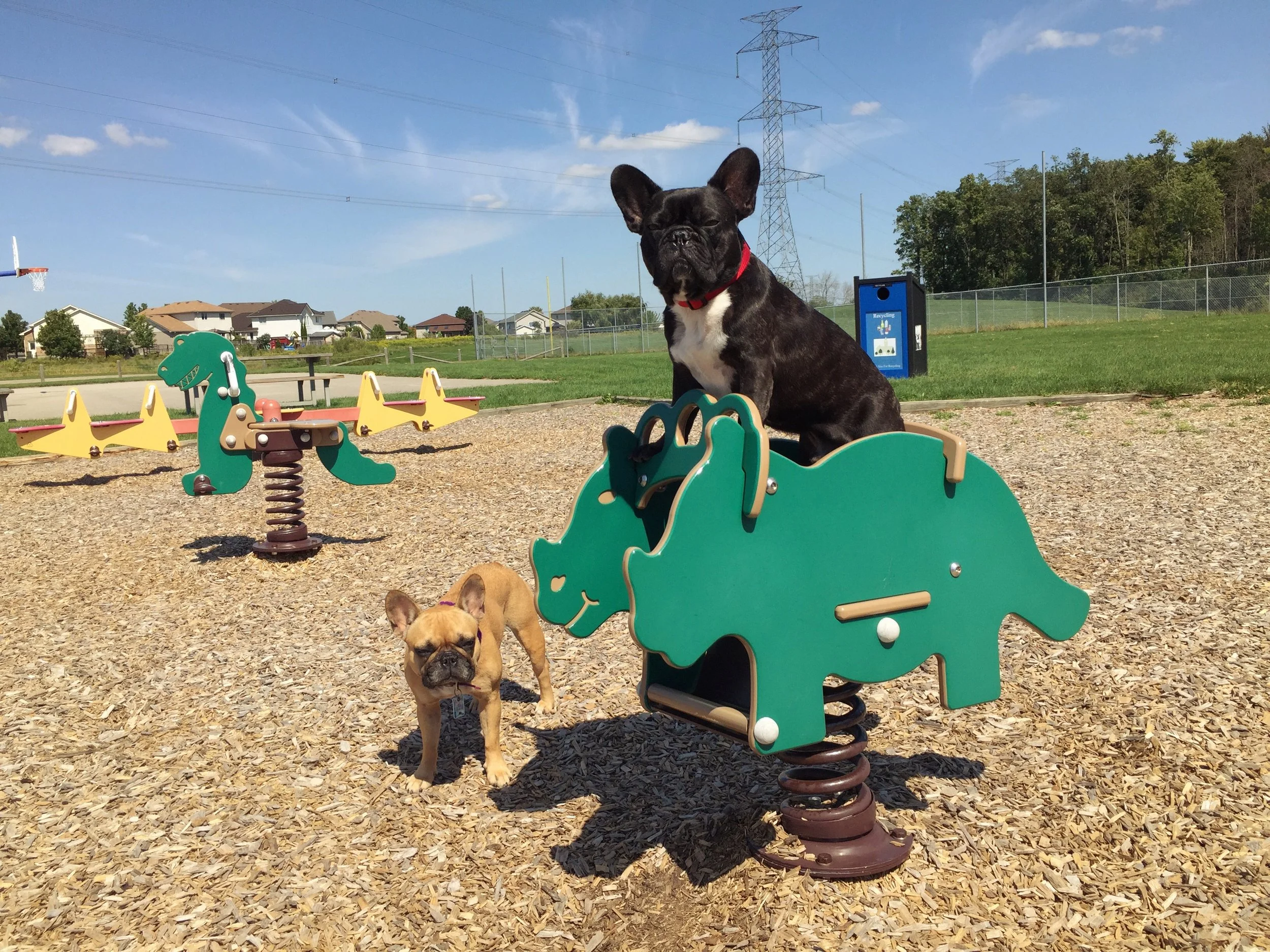 GOOFBALLERY AT THE PLAYGROUND!! (7 photos) 