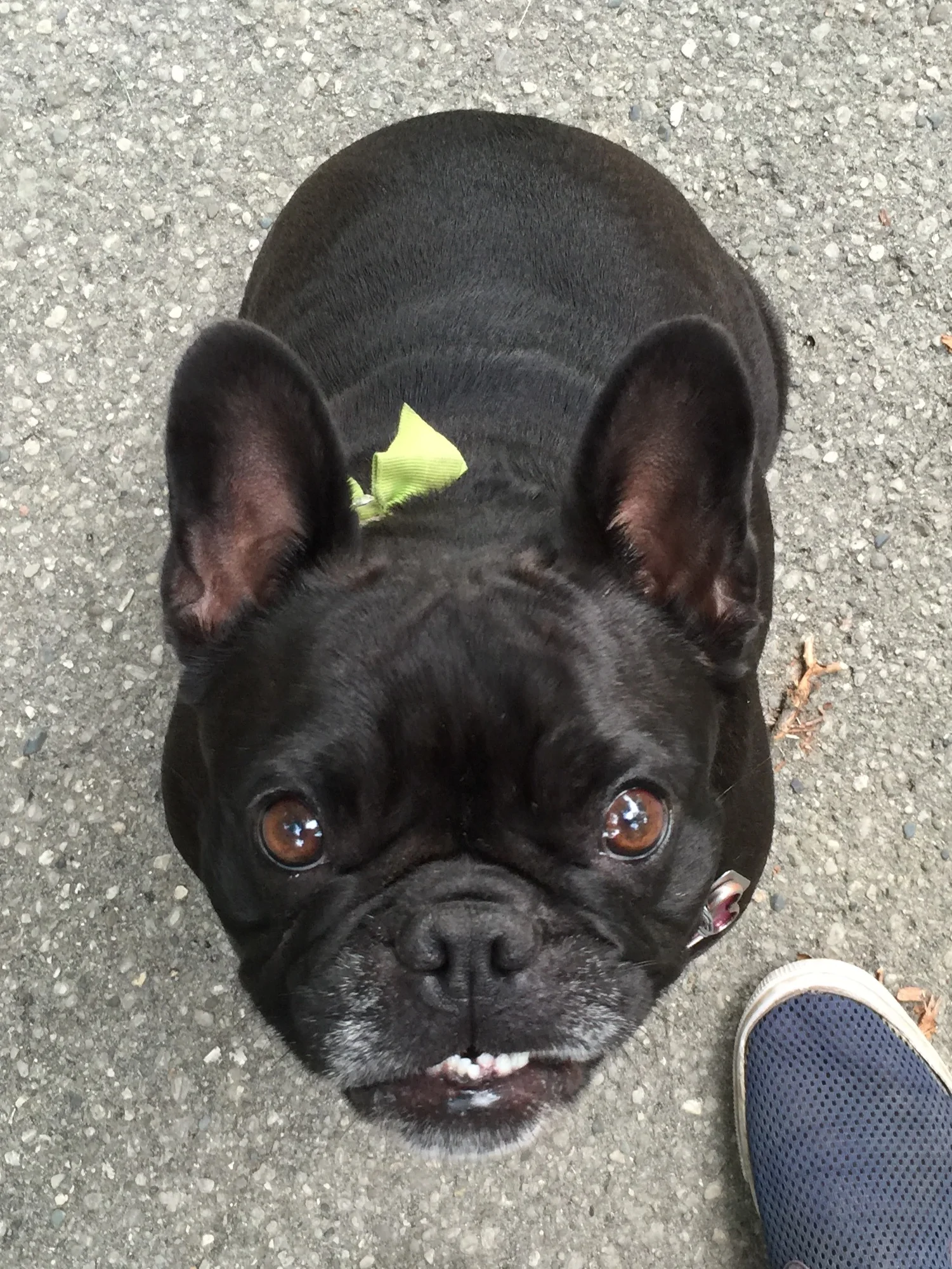 DOOP DEE DOOPING WITH... COUSIN ELLIE!! (9 photos) 