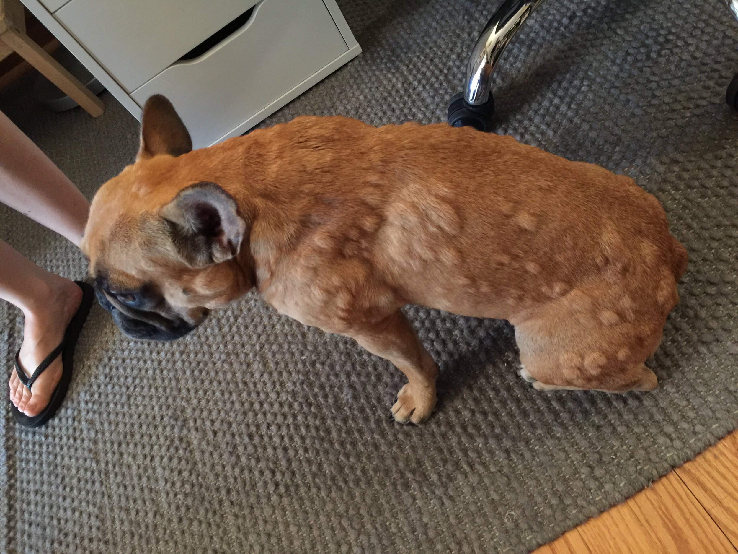 MIRABELLE HAS A SOOPERBAD 'LLERGIC REACTION!! (7 photos)