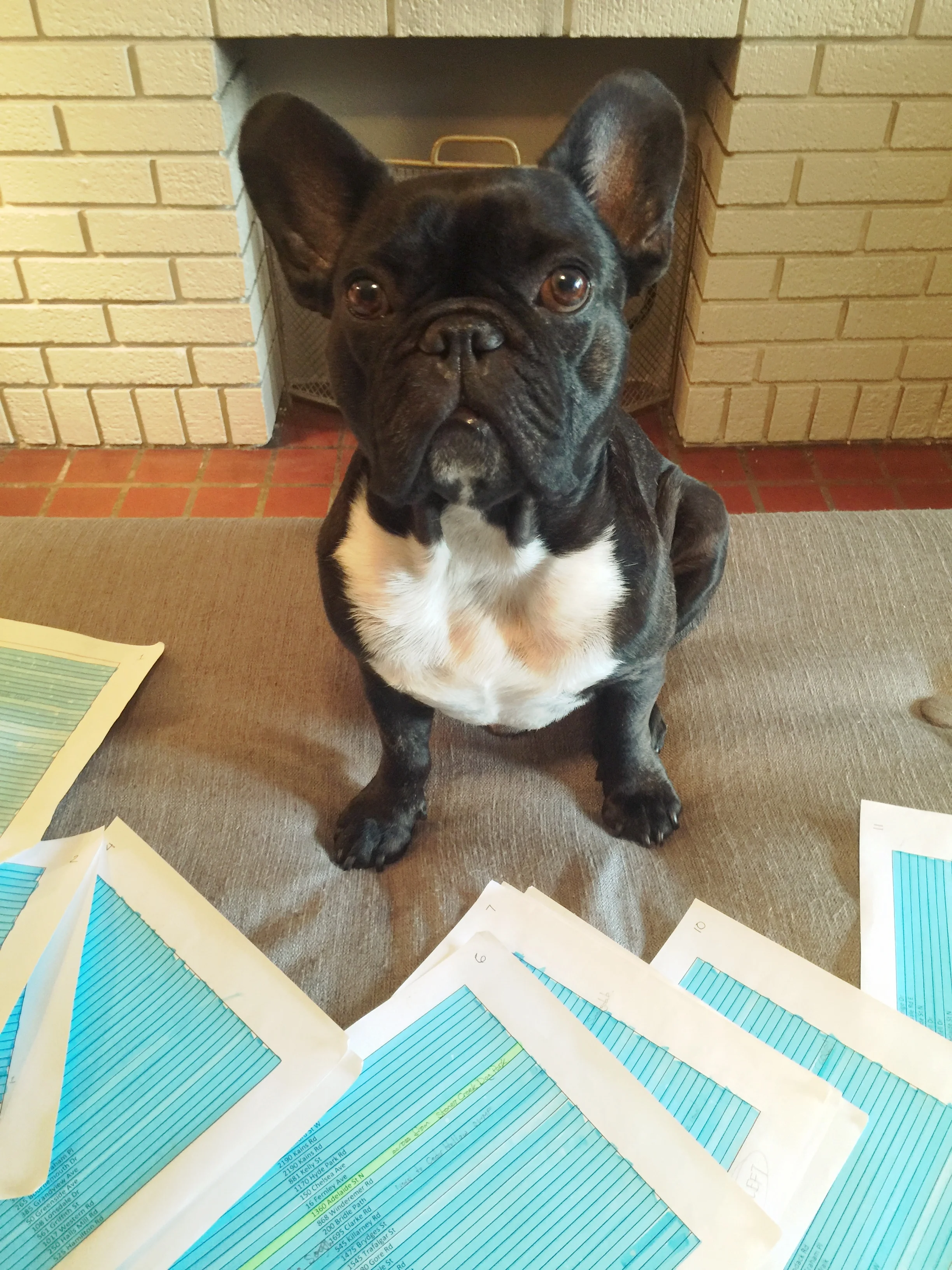 ARCHIE'S PARKMASTER GENERAL QUEST -*UPDATE* (7 photos) 