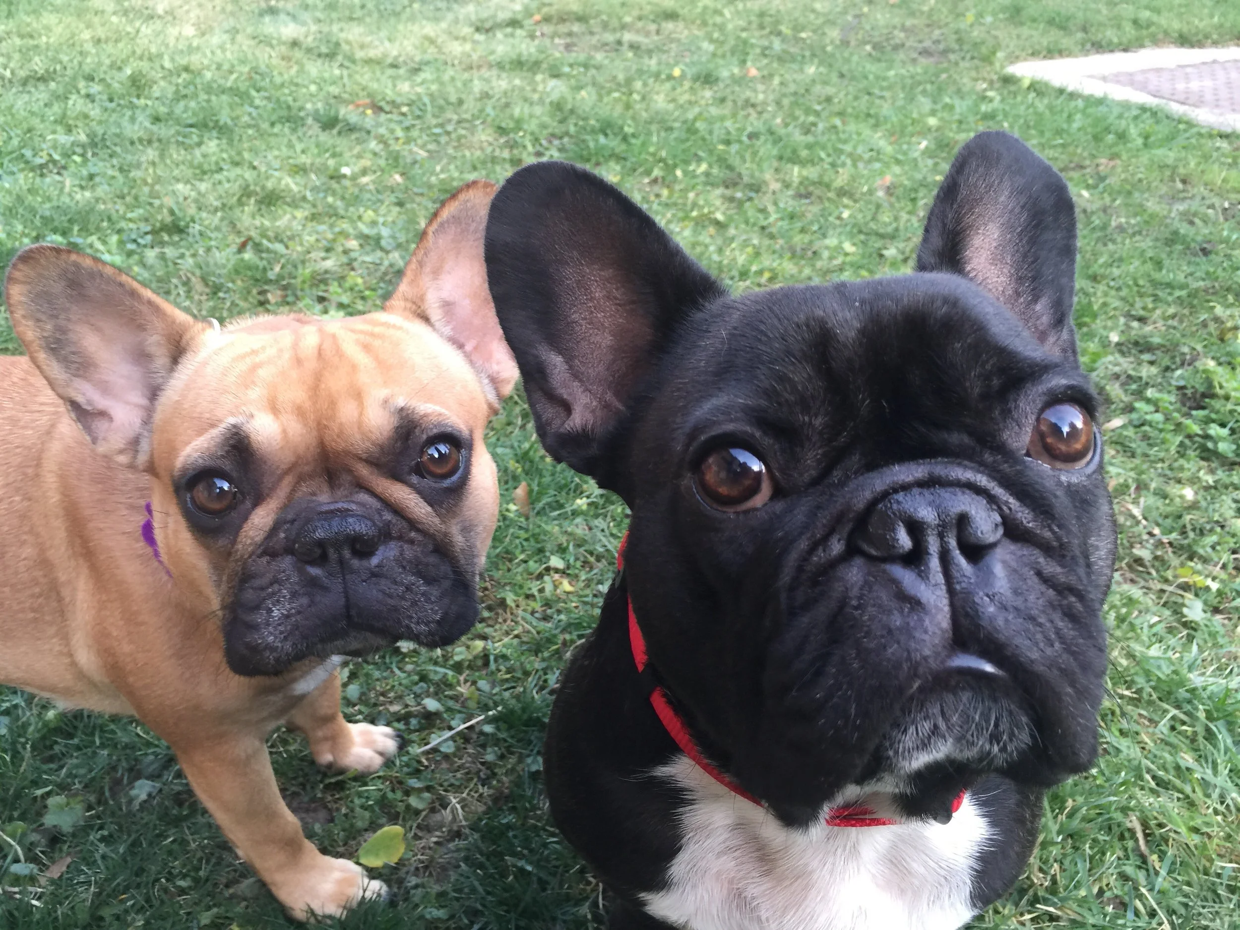 HAPPYHAPPYTUESDAYTIMES!! 