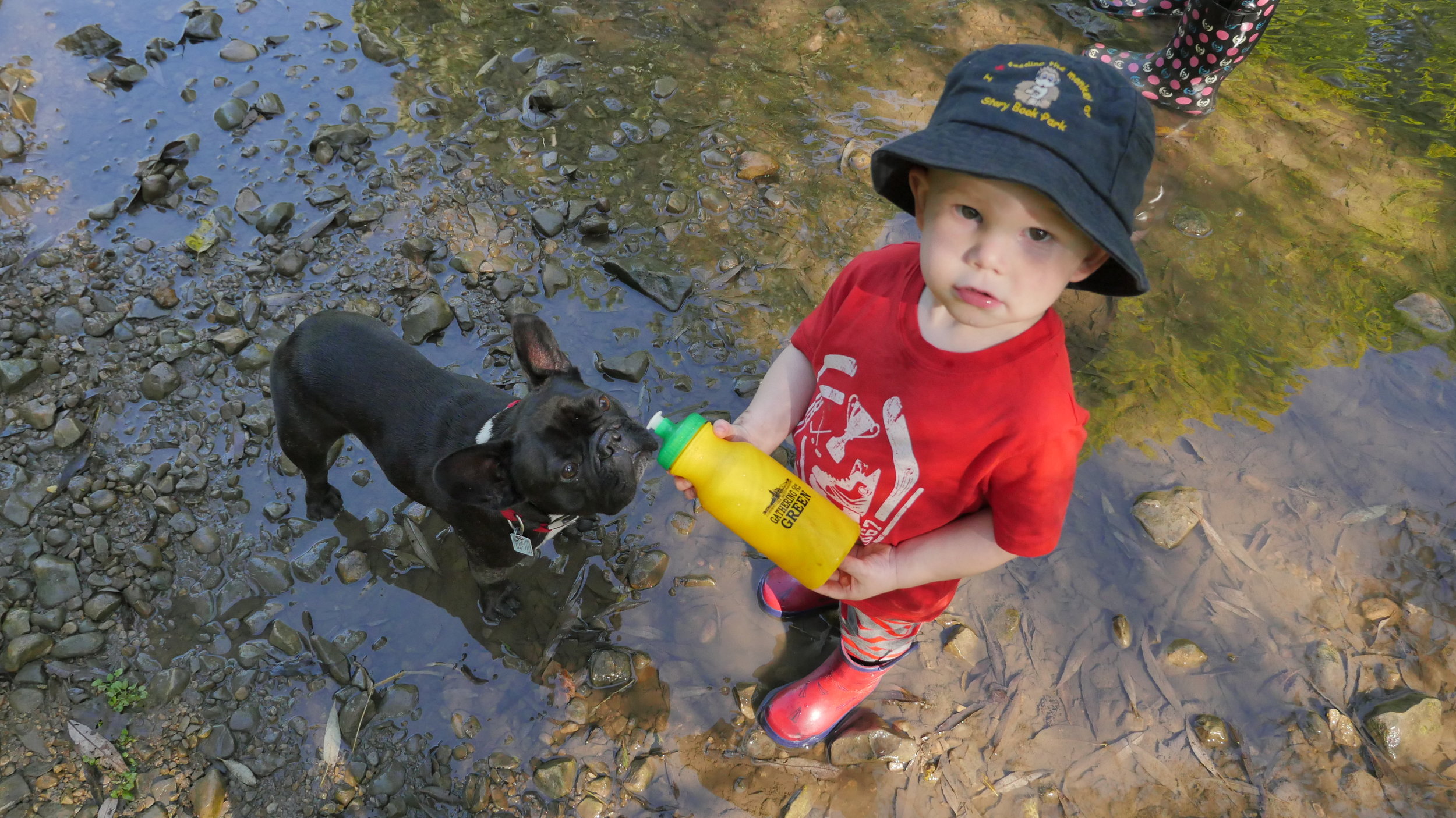 PICTURESTORIES FROM DOOP DEE DOOP DAY!! (30 photos) 