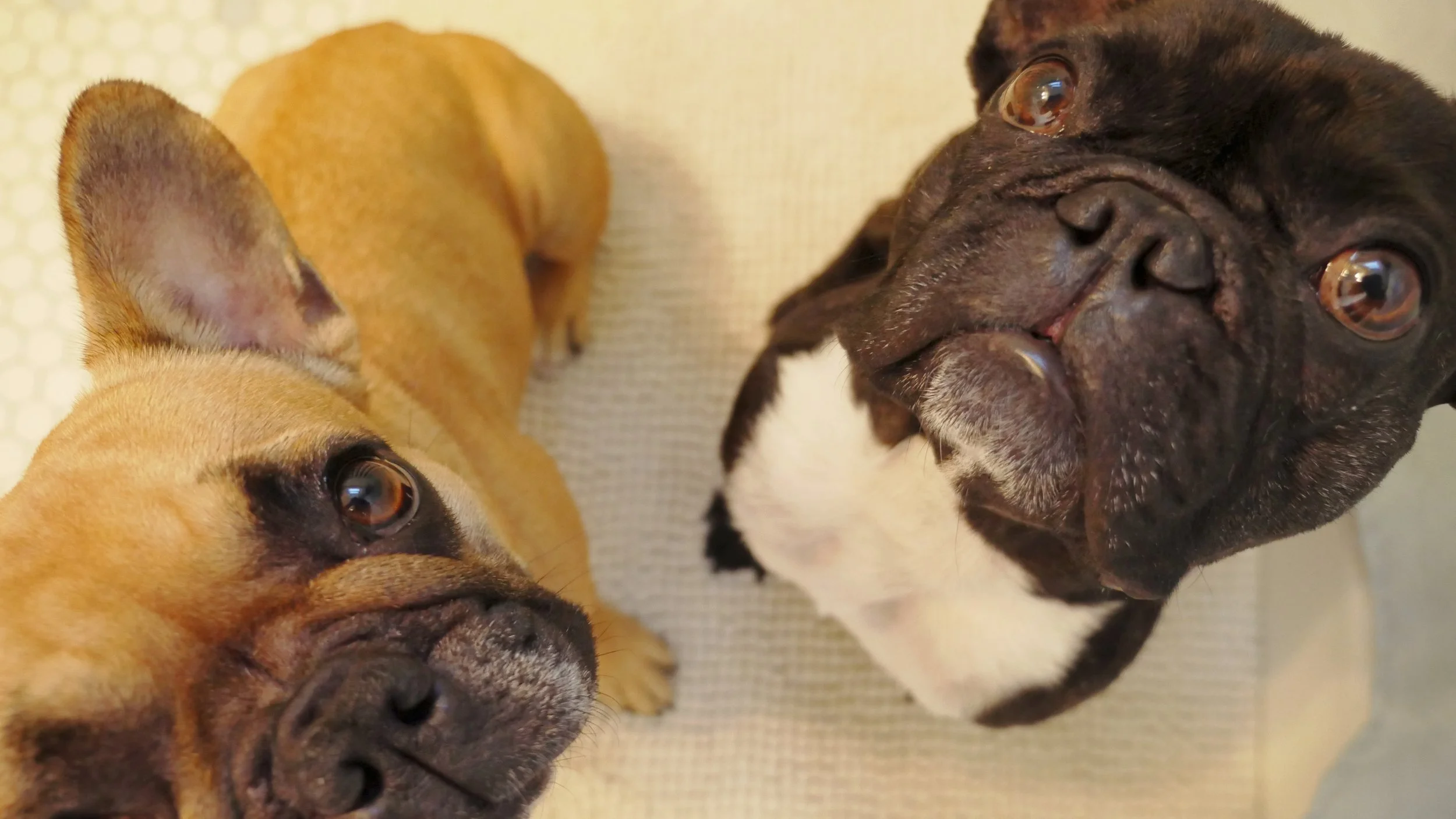 WAKEYWAKEY, SLEEPYHEADS!! (photos and links) 