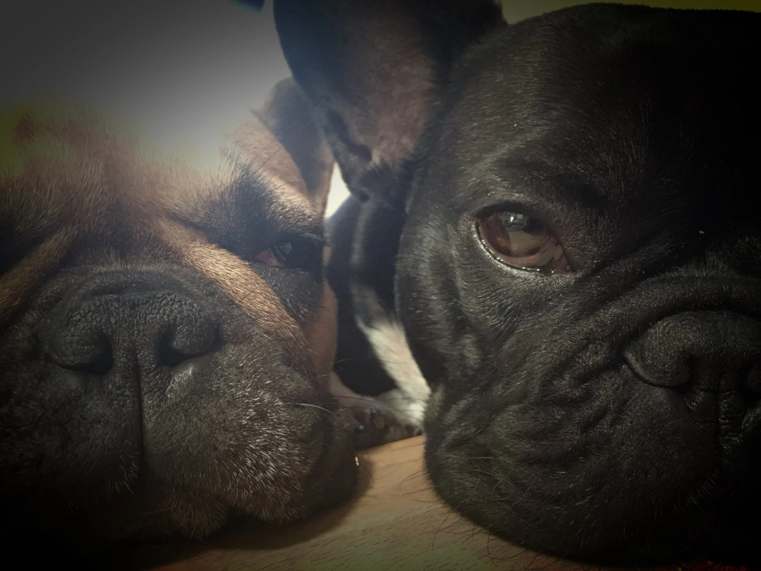 FRIDAY NIGHTYNIGHTIMES!! (3 photos) 