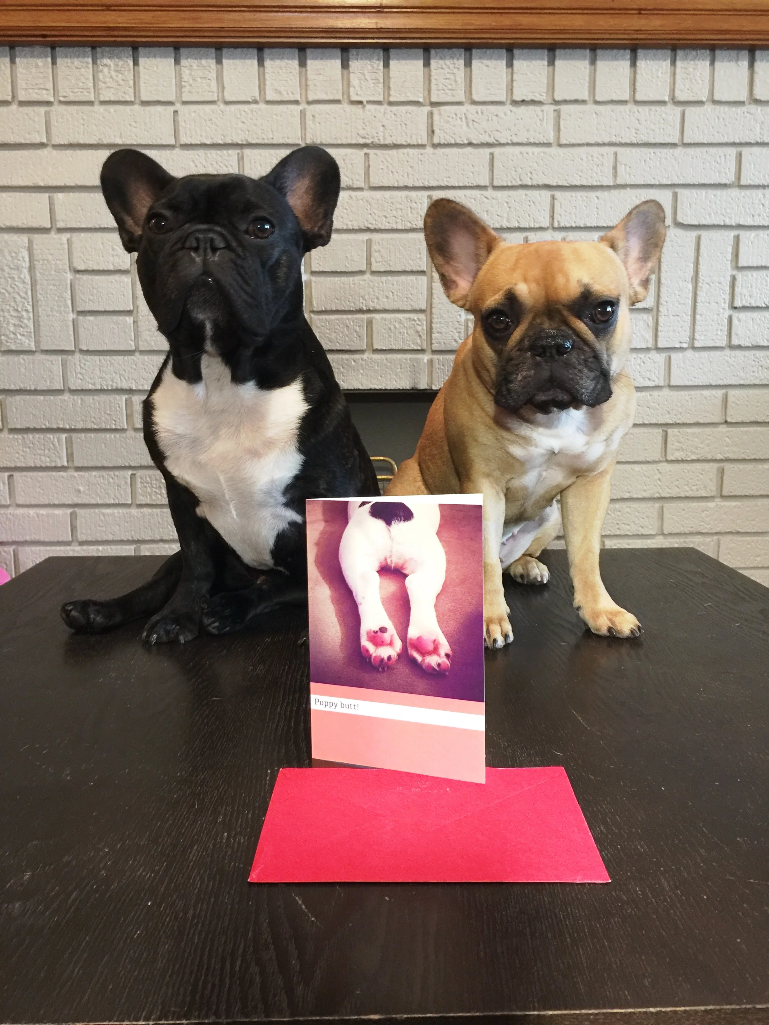 BRINDLETERM OF THE DAY: "LETTERLOPE" 