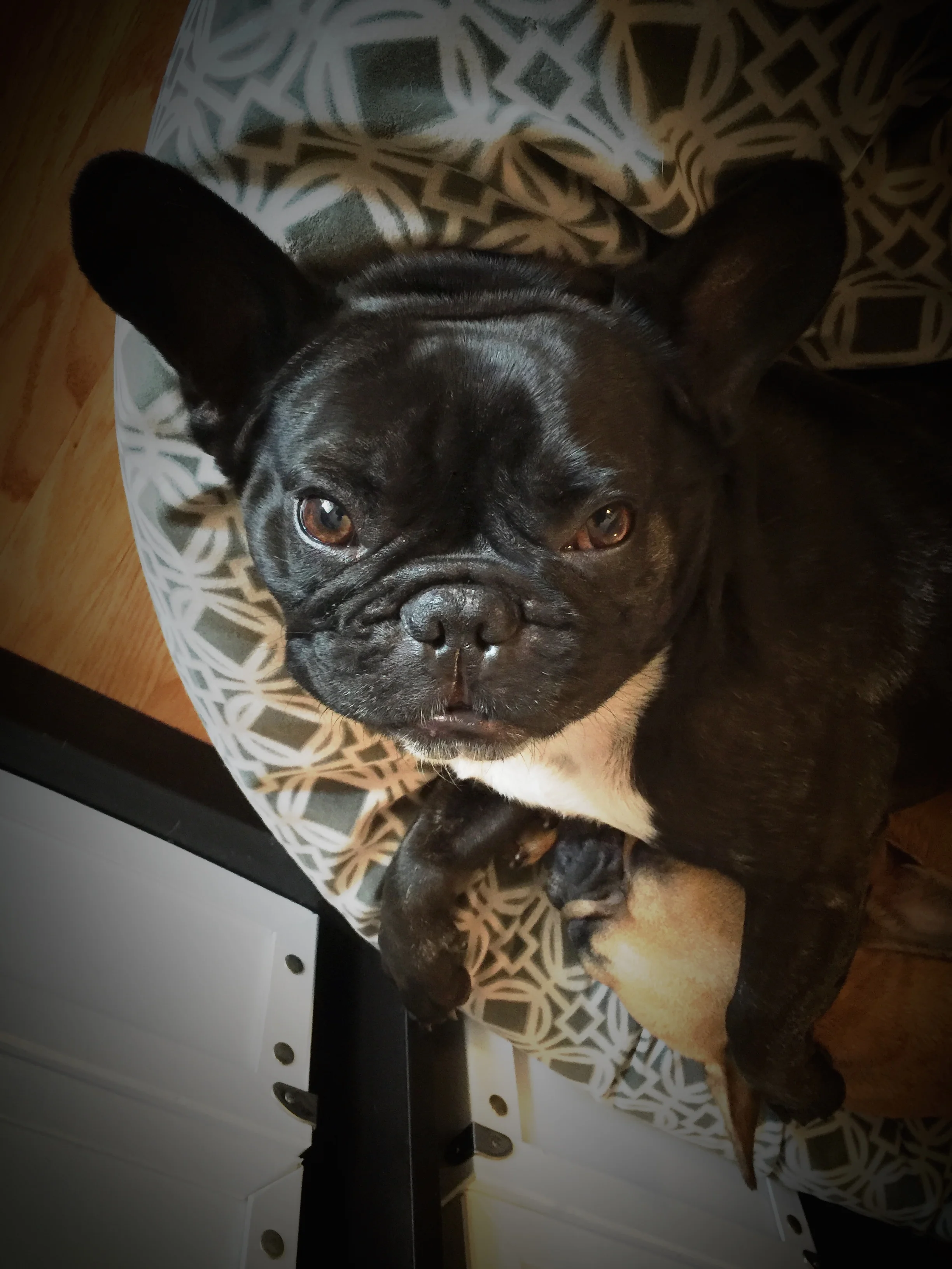 MONDAY NIGHTYNIGHTIMES (4 photos) 