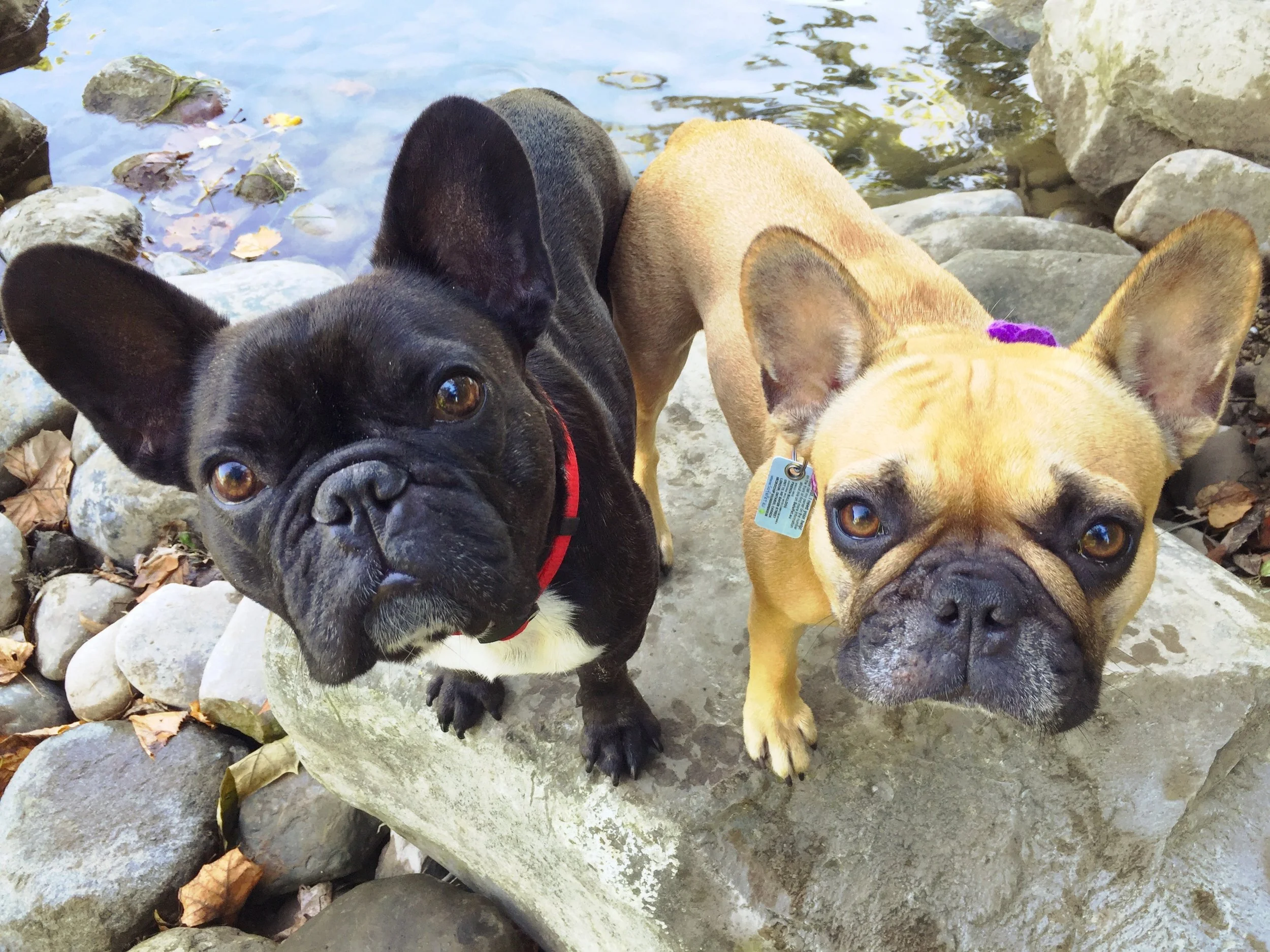 TUESDAY MORNINGTIMES!! (4 photos and links) 