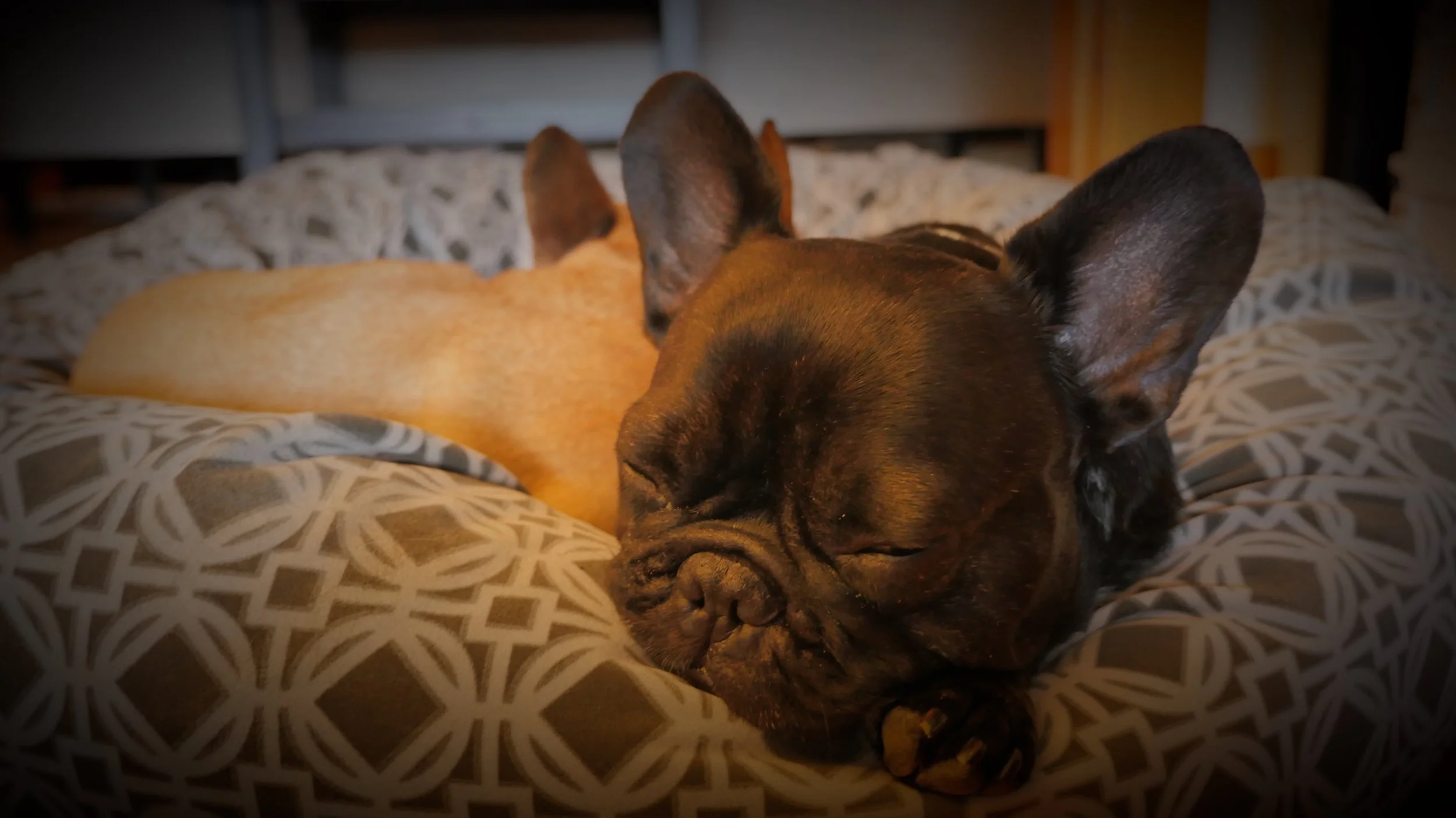 Tuesday Nightynightimes (3 photos) 