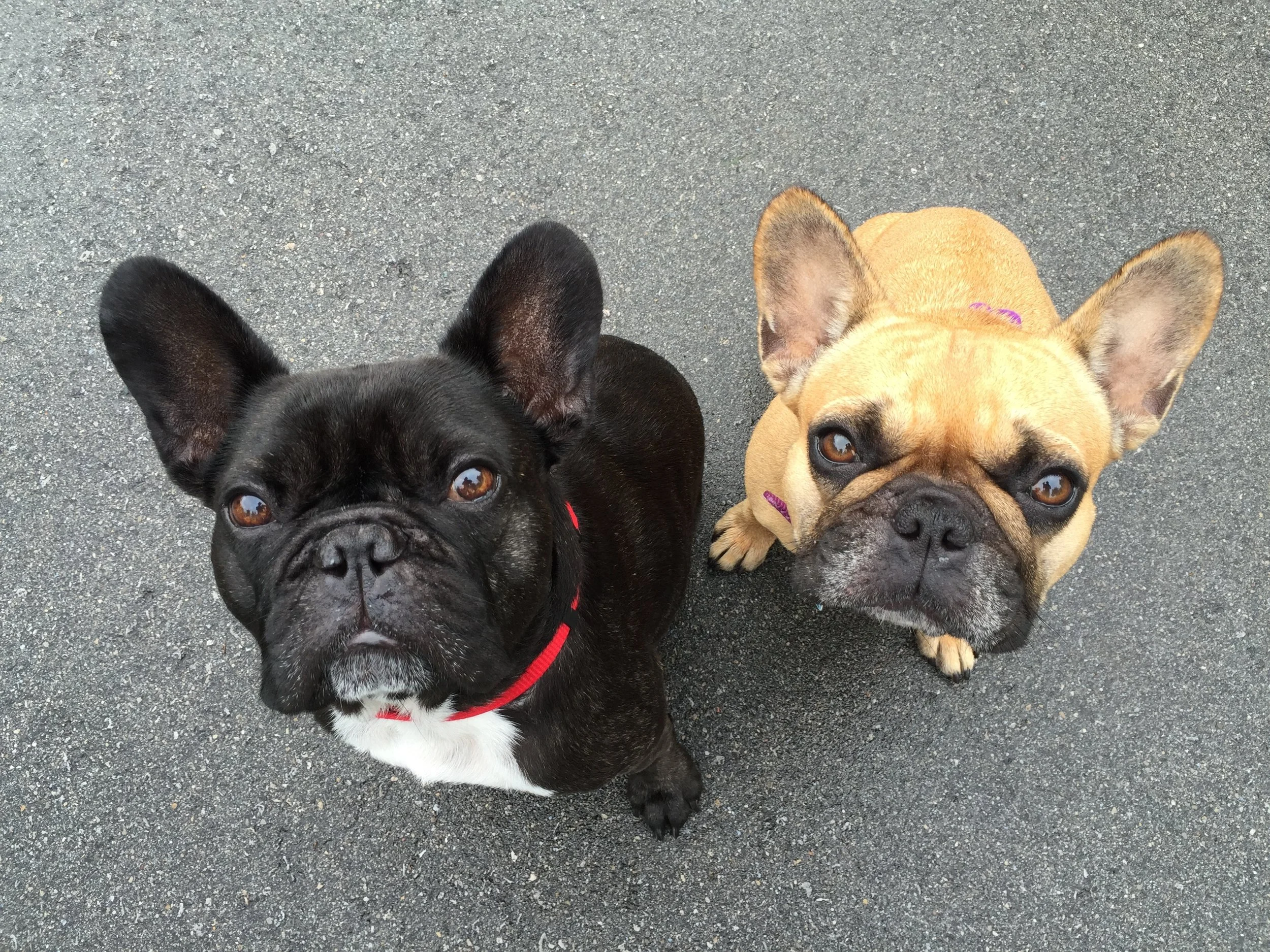 THURSDAY MORNINGTIMES (3 photos and links) 