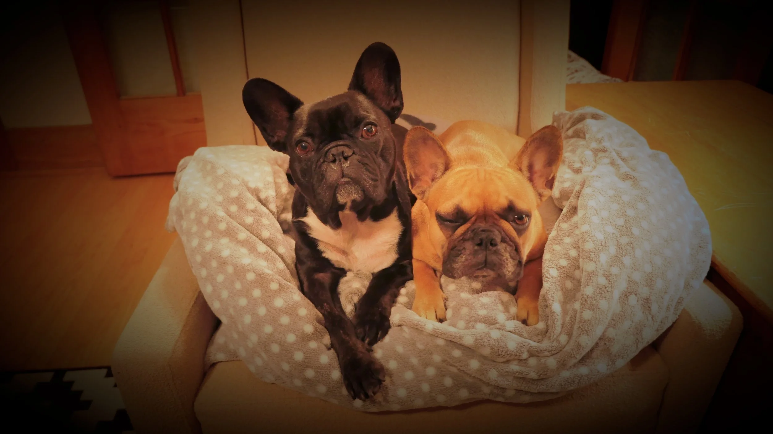 THURSDAY NIGHTYNIGHTIMES!! (3 photos) 