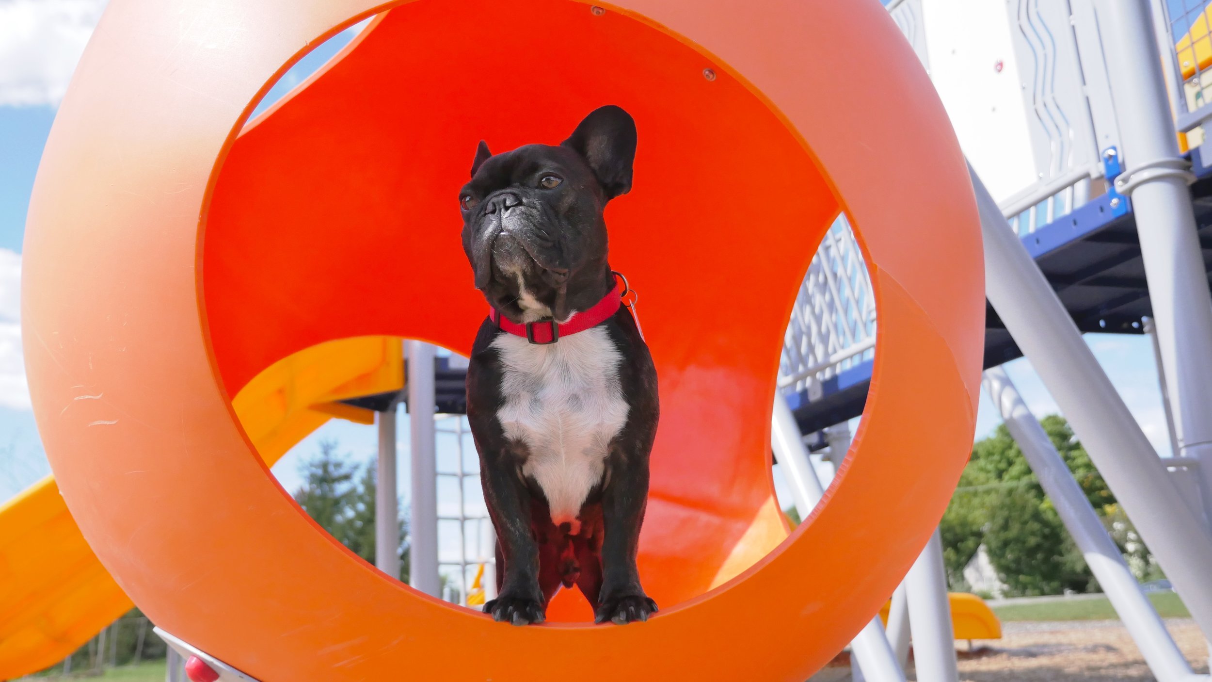 ME INSIDE A SOOPERGIGANTICAL ORANGE BALLY!! (4 photos) 