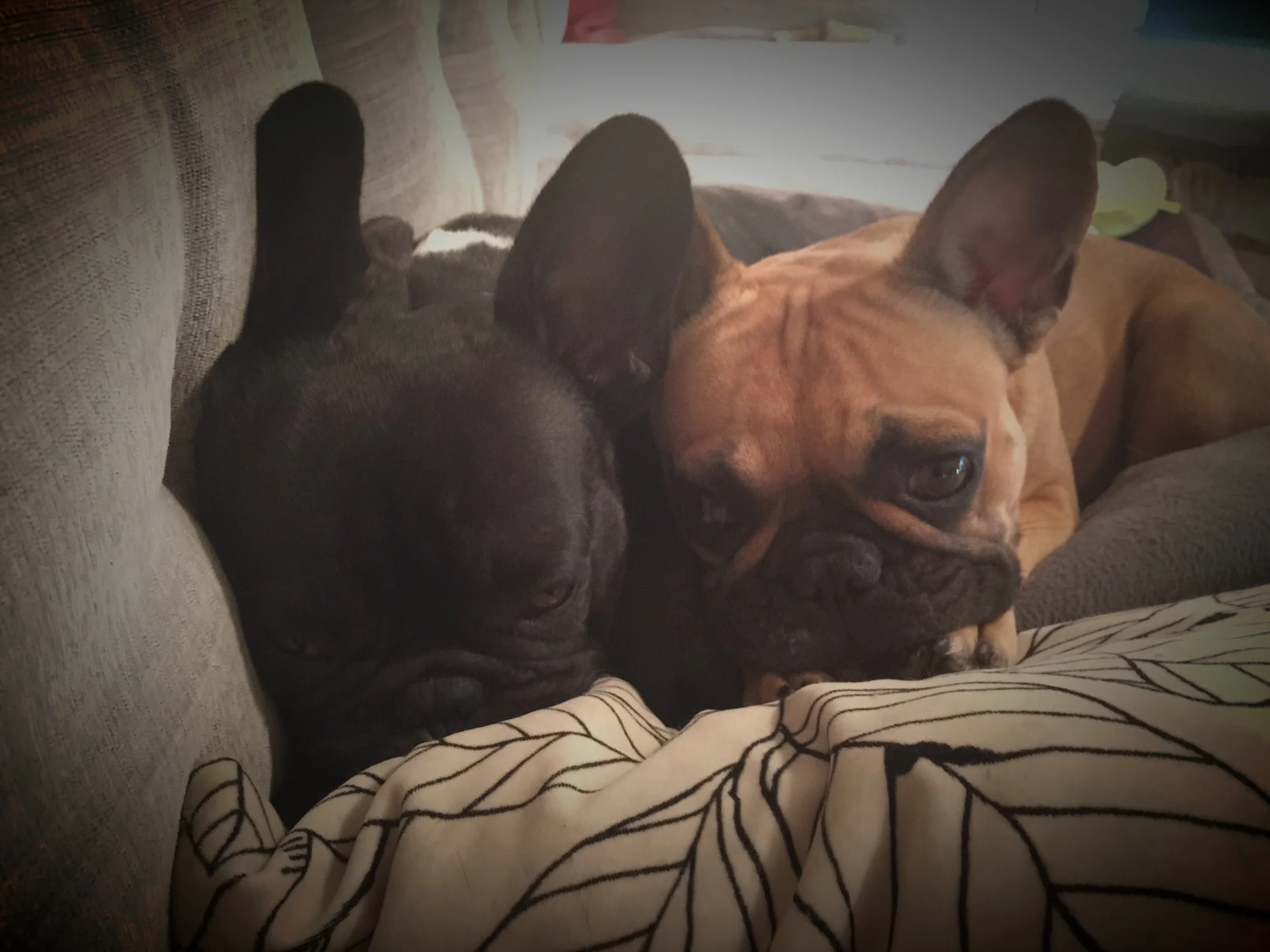 MONDAY NIGHTYNIGHTIMES (3 photos) 